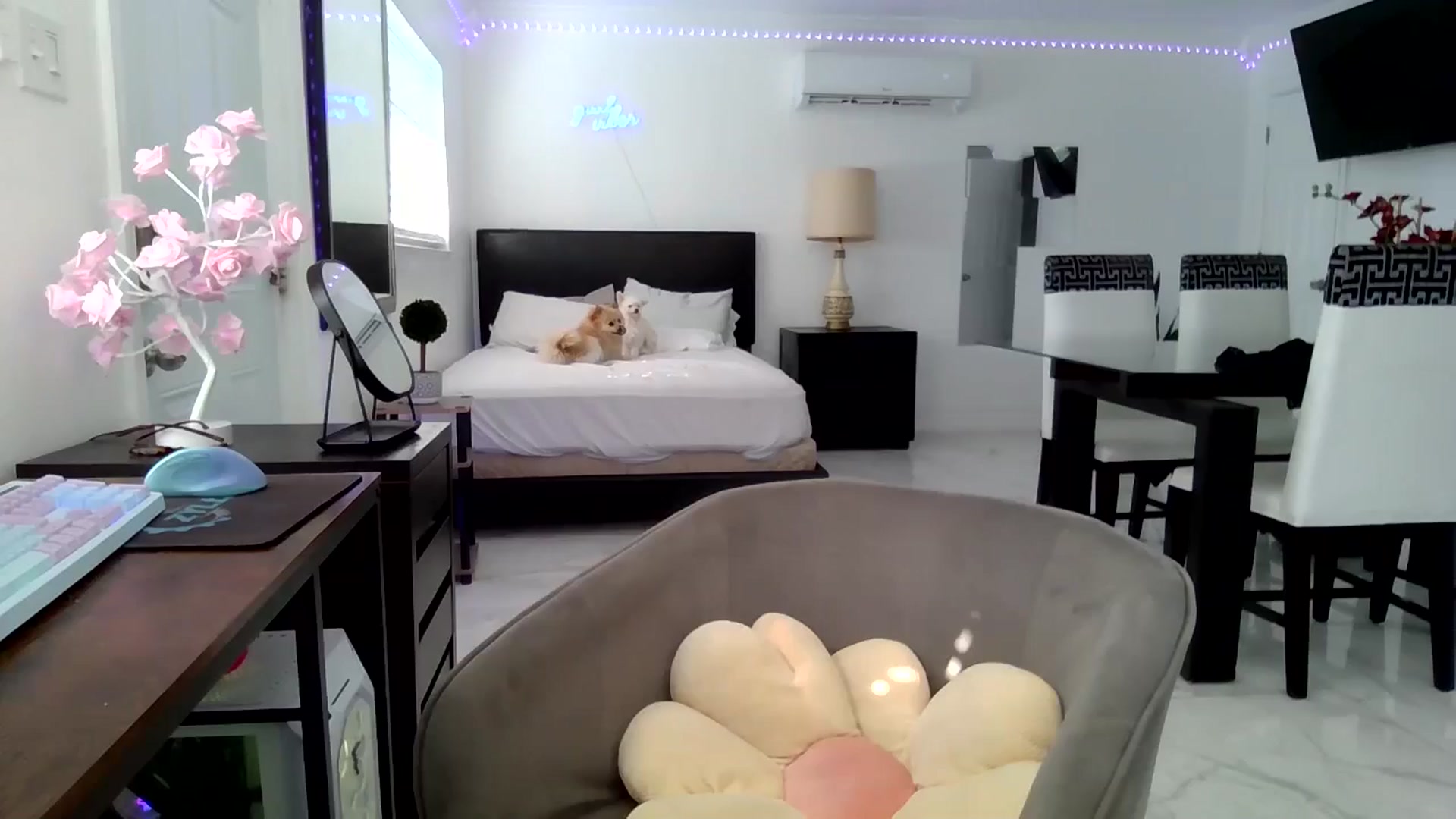 Gallery image thumbnail from Wet_Princess's myfreecams stream on, 05/30/2024, 13:37 image 18 of 20