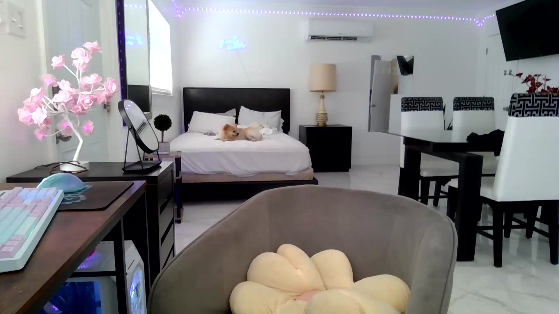 Gallery image thumbnail from Wet_Princess's myfreecams stream on, 05/30/2024, 14:09 image 20 of 20