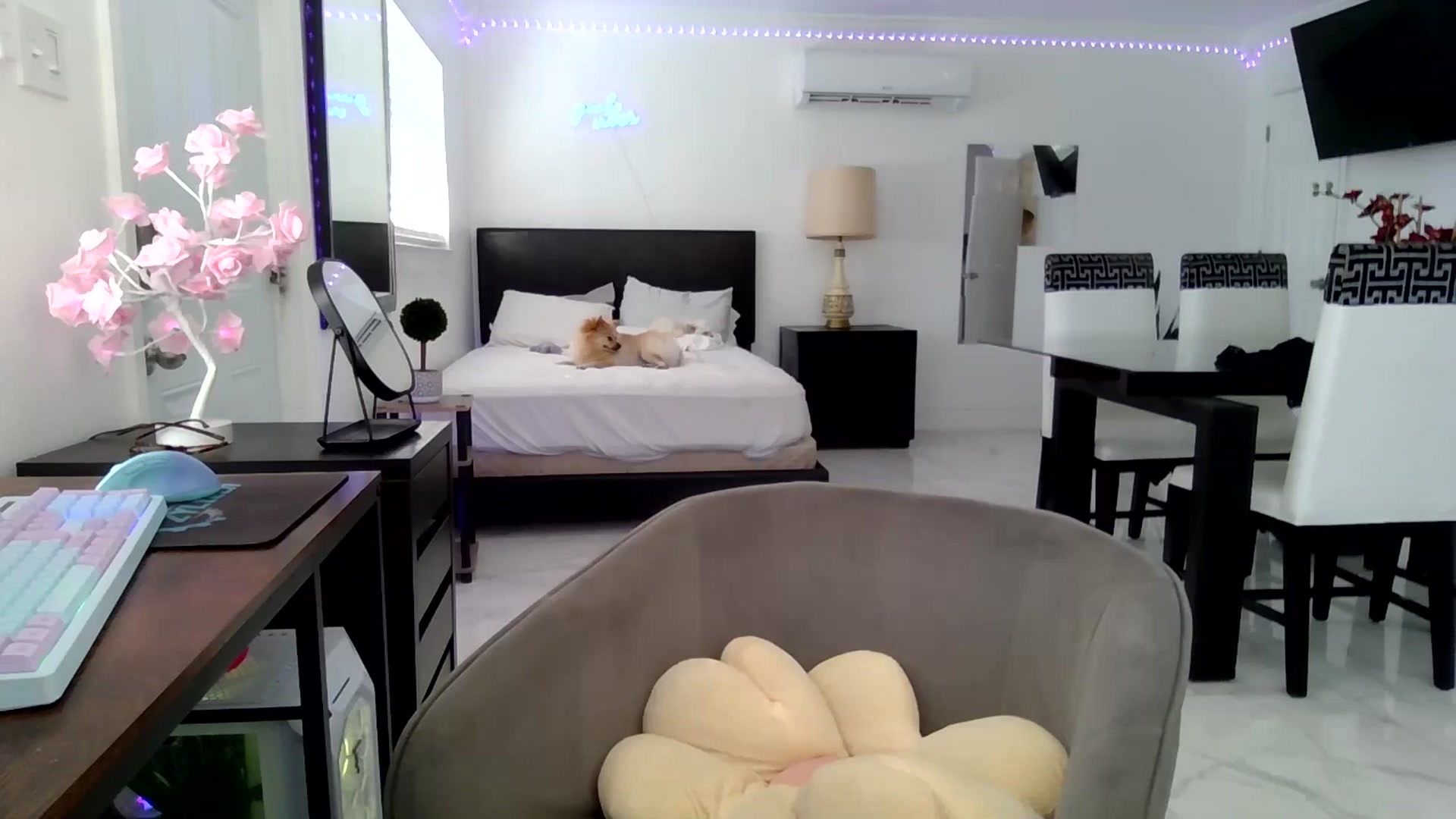 Gallery image thumbnail from Wet_Princess's myfreecams stream on, 05/30/2024, 14:09 image 18 of 20
