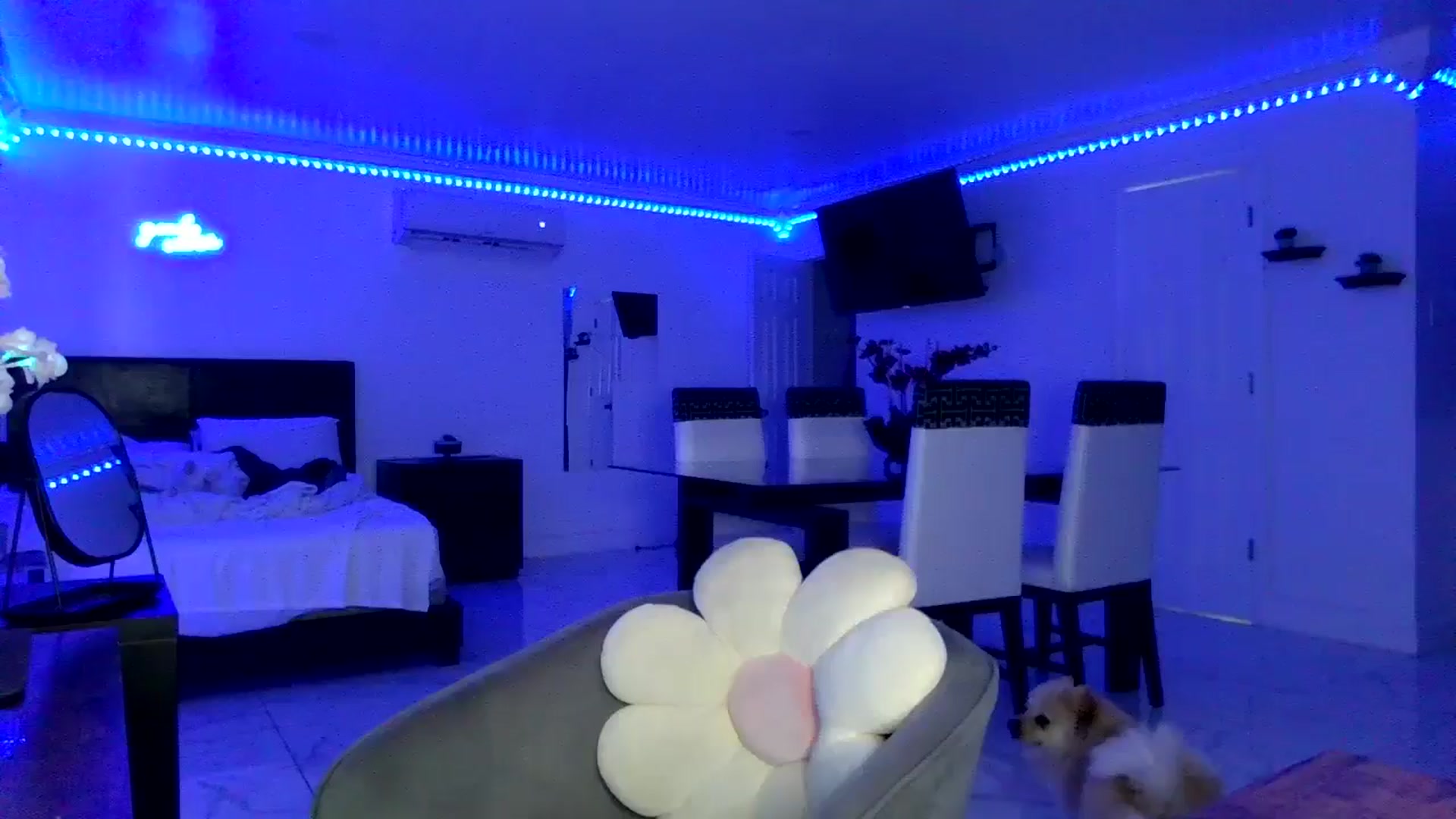 Gallery image thumbnail from Wet_Princess's myfreecams stream on, 06/07/2024, 01:58 image 4 of 20
