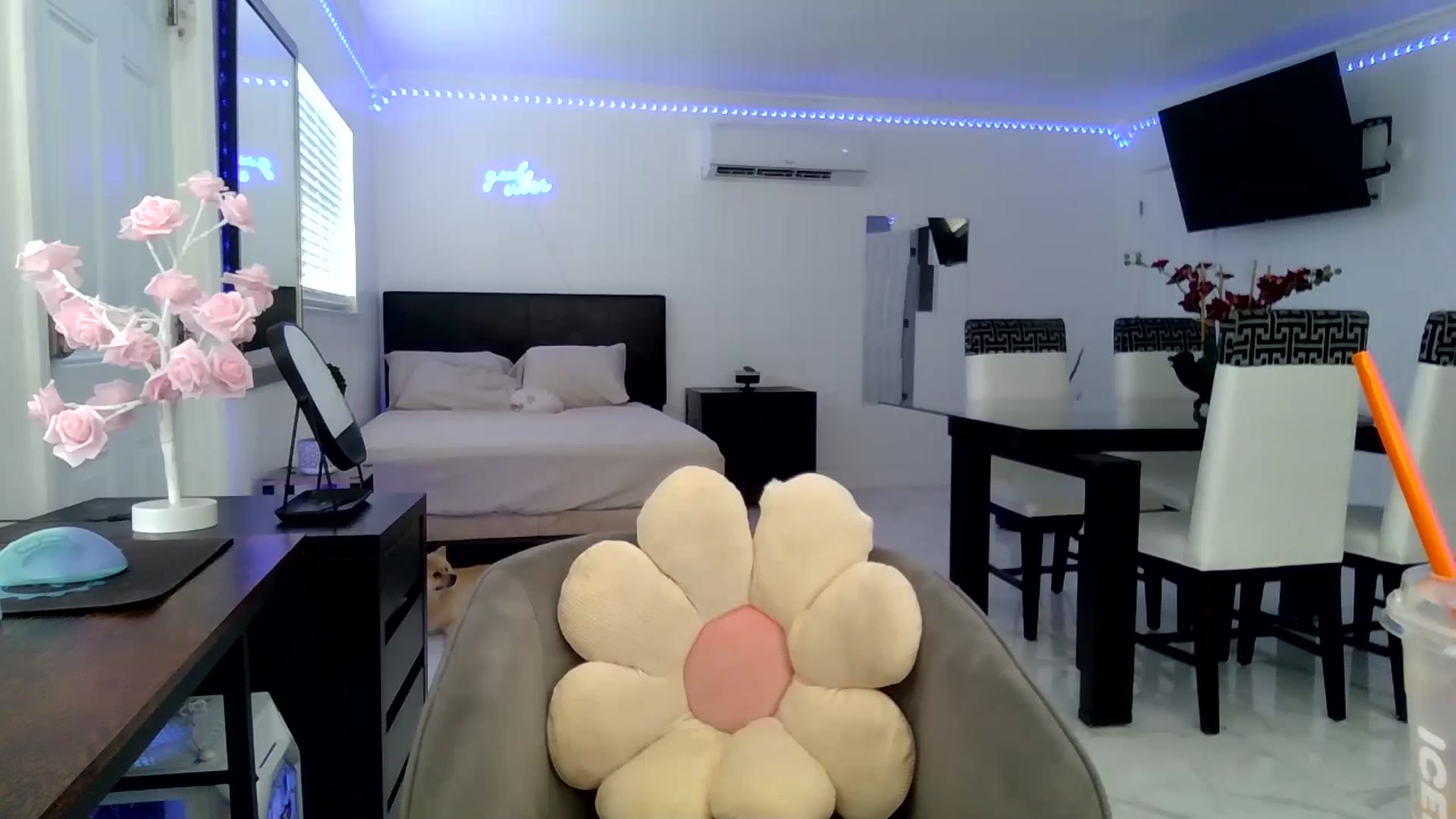 Gallery image thumbnail from Wet_Princess's myfreecams stream on, 06/19/2024, 17:48 image 19 of 20