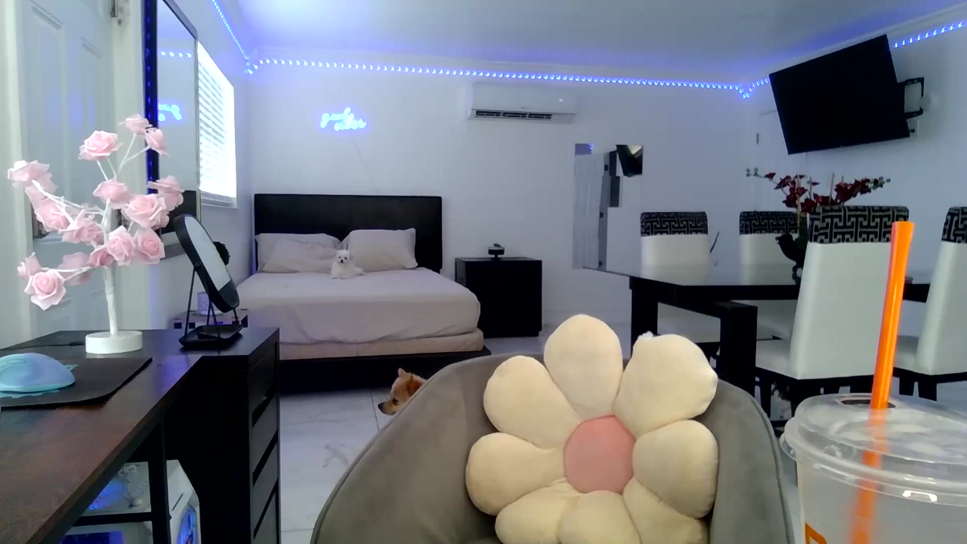 Gallery image thumbnail from Wet_Princess's myfreecams stream on, 06/19/2024, 18:29 image 10 of 20