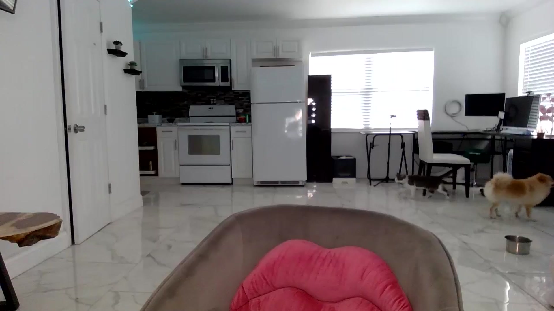 Gallery image thumbnail from Wet_Princess's myfreecams stream on, 07/12/2024, 18:58 image 5 of 20