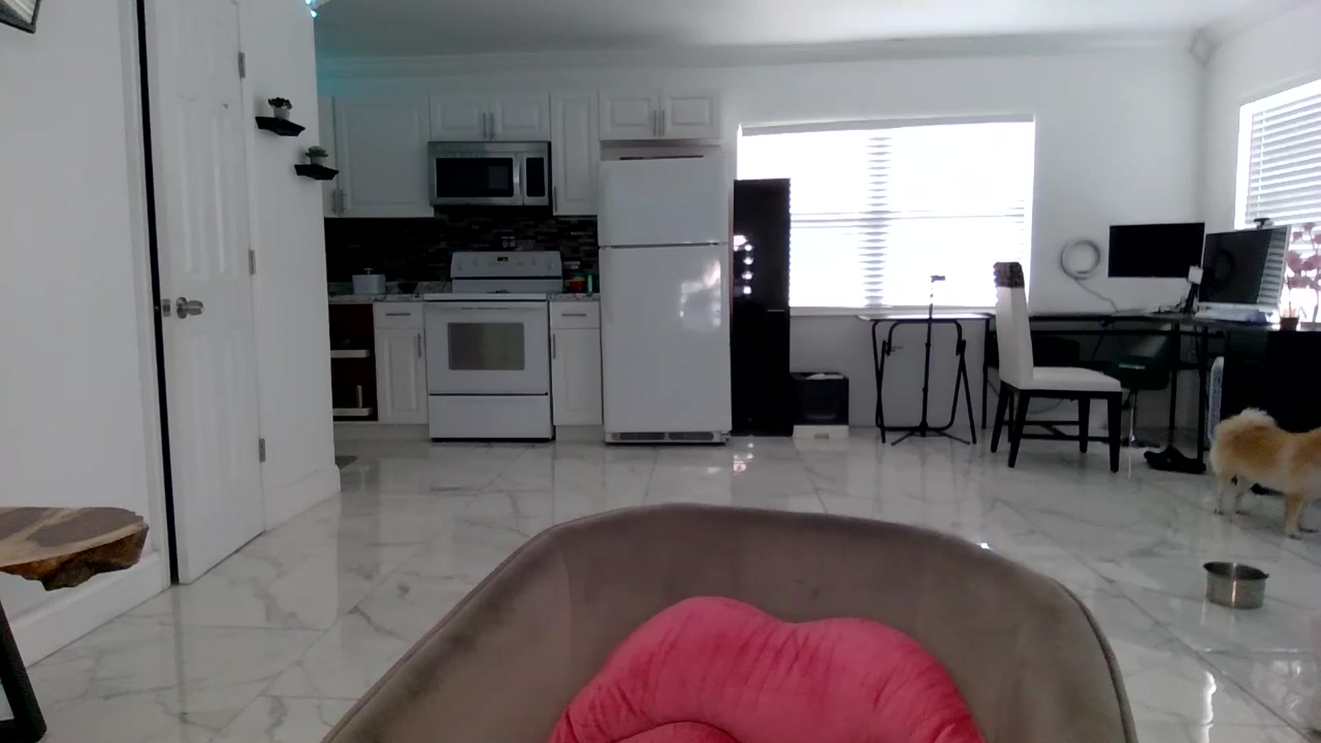 Gallery image thumbnail from Wet_Princess's myfreecams stream on, 07/12/2024, 18:58 image 4 of 20