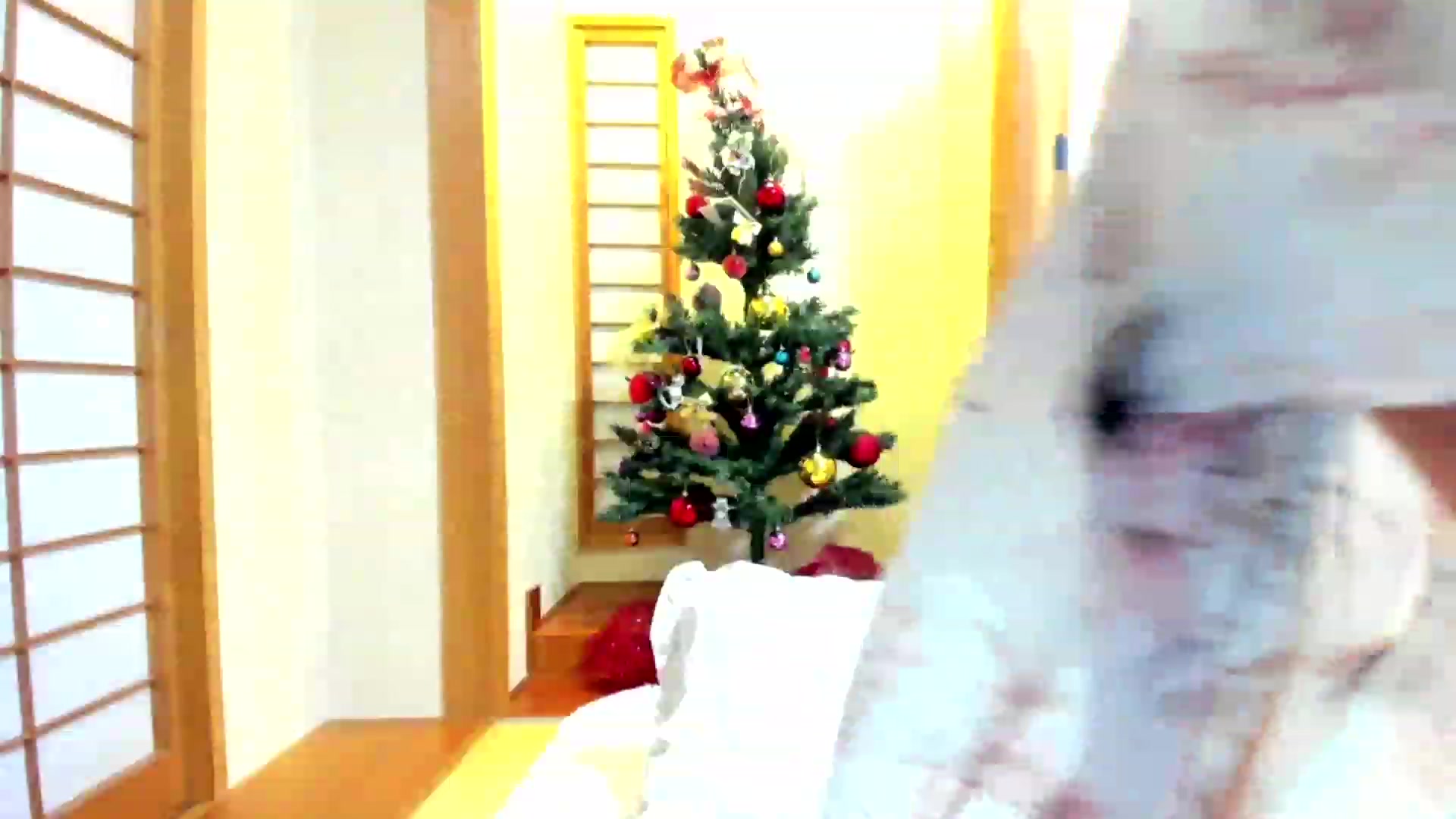 Gallery image thumbnail from WhatIsNanako's myfreecams stream on, 12/04/2022, 10:26 image 16 of 20