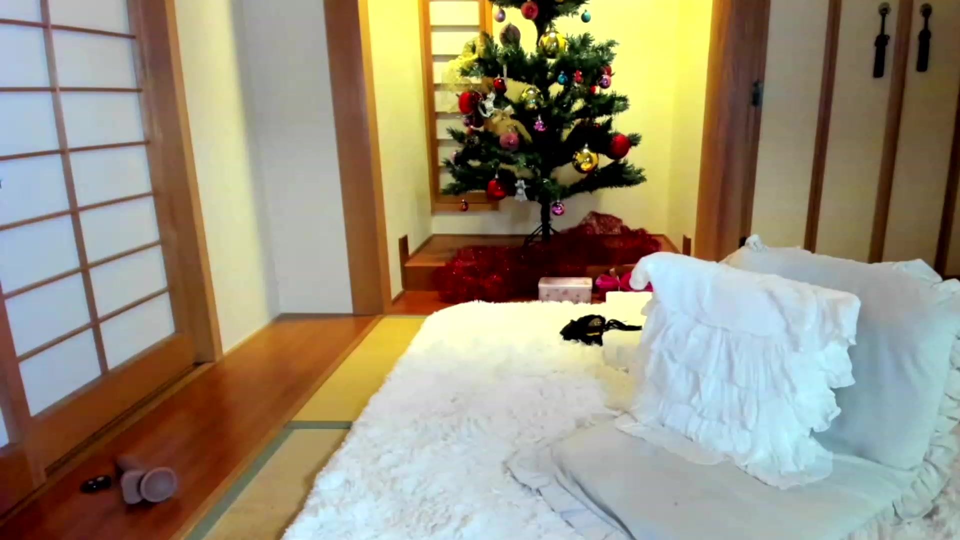 Gallery image thumbnail from WhatIsNanako's myfreecams stream on, 12/04/2022, 18:09 image 1 of 20