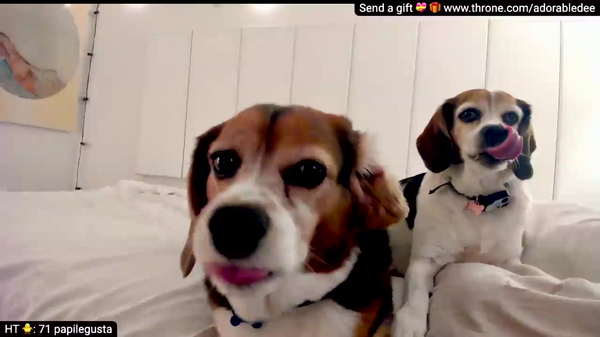 Gallery image thumbnail from WhatThePho's myfreecams stream on, 05/01/2026, 20:26 image 19 of 20