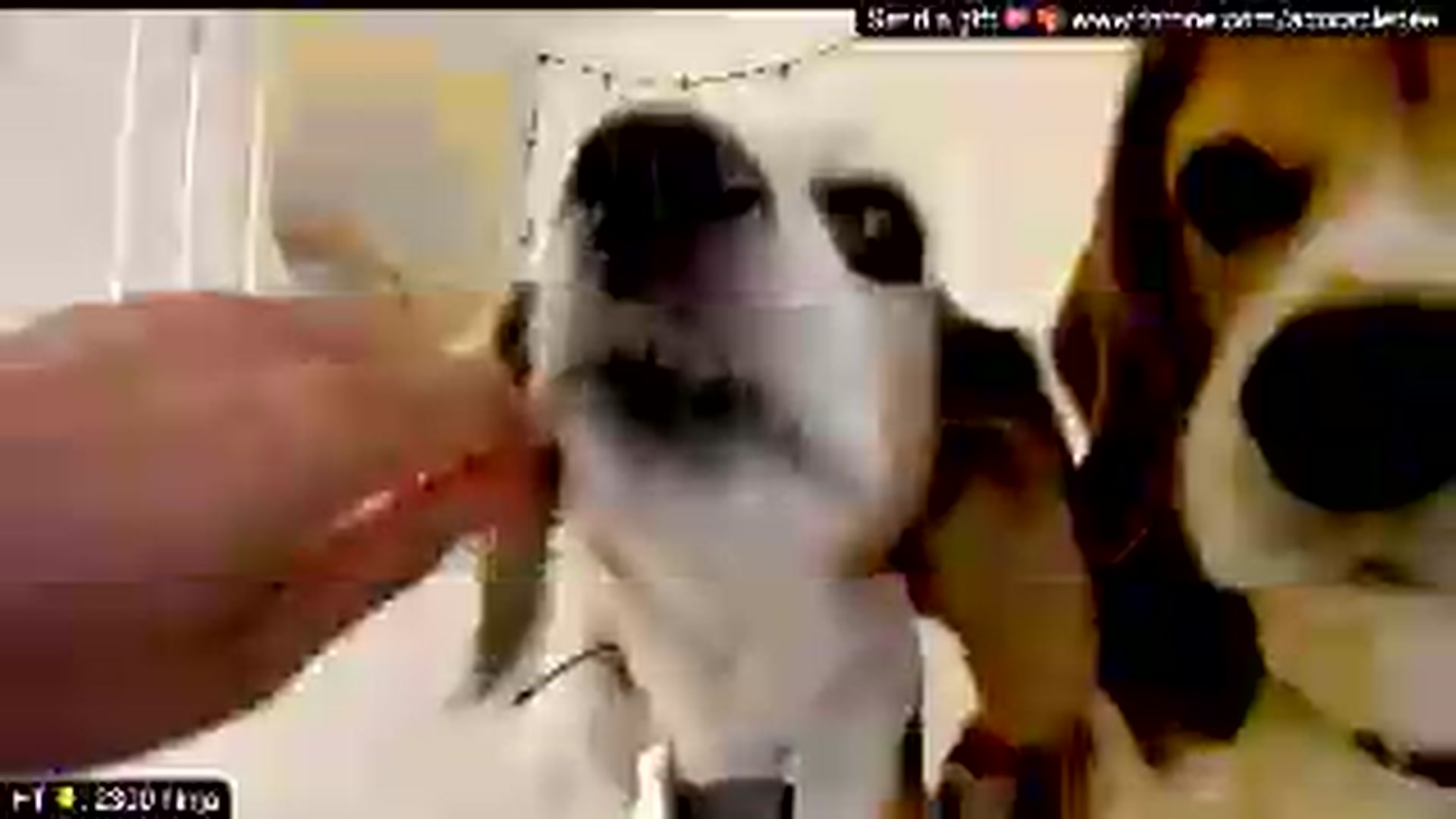 Gallery image thumbnail from WhatThePho's myfreecams stream on, 05/14/2026, 22:49 image 7 of 20