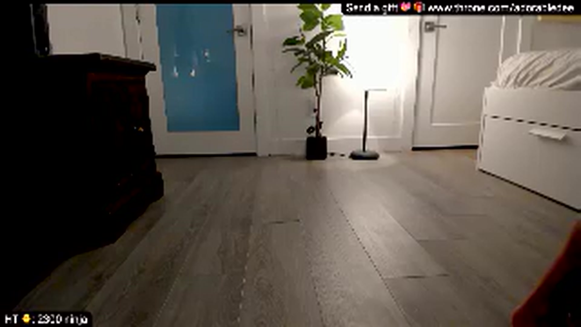 Gallery image thumbnail from WhatThePho's myfreecams stream on, 05/14/2026, 22:49 image 13 of 20