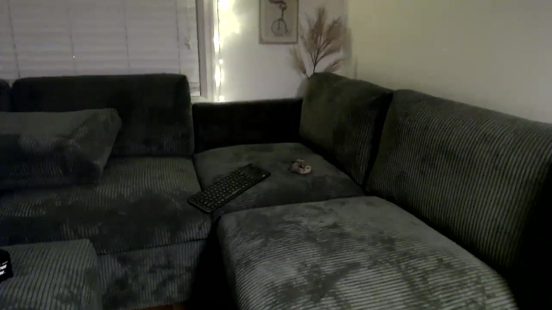 Gallery image thumbnail from Wheres_Willow's myfreecams stream on, 12/11/2023, 04:51 image 11 of 20