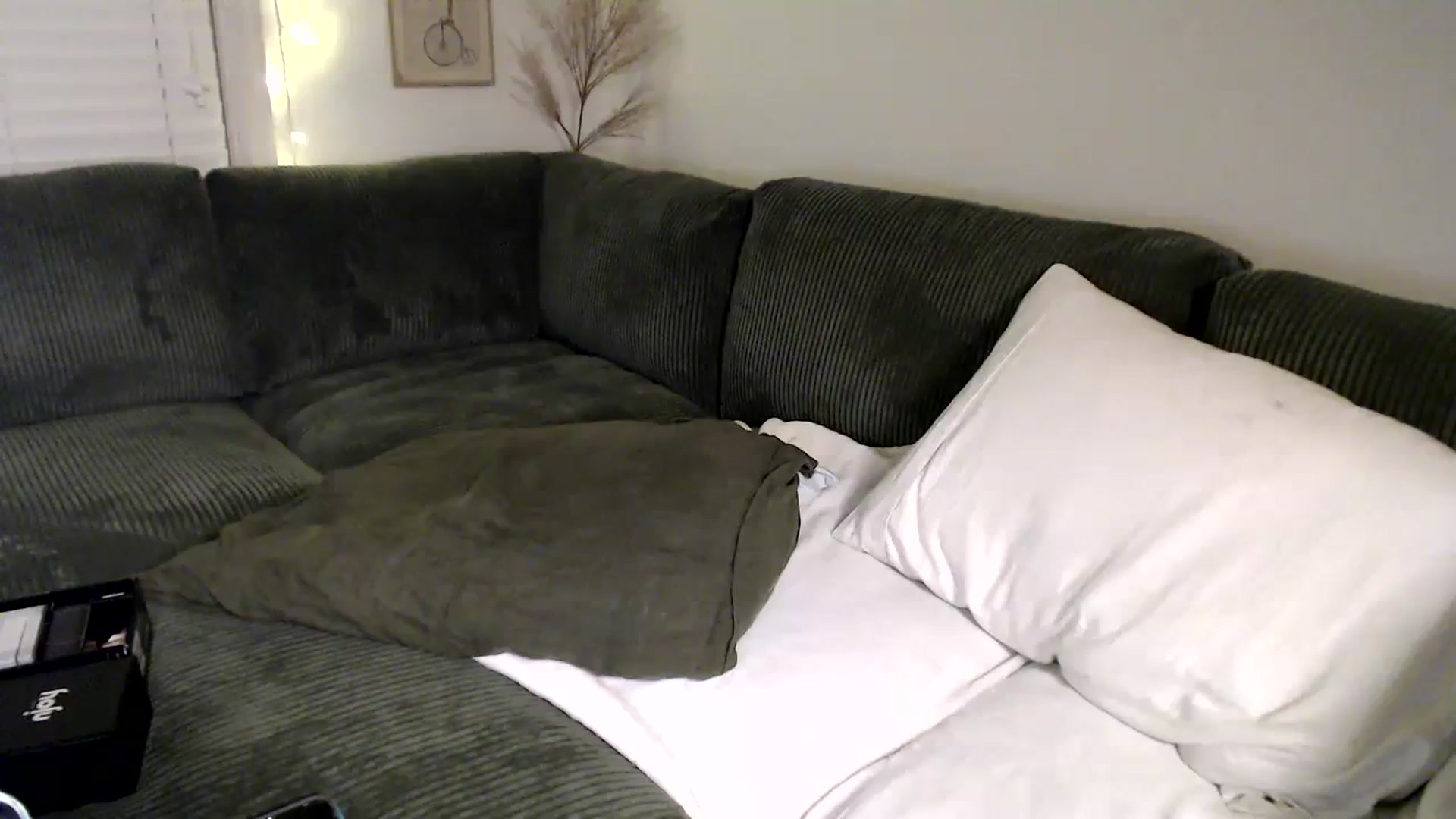 Gallery image thumbnail from Wheres_Willow's myfreecams stream on, 12/12/2023, 06:39 image 12 of 20