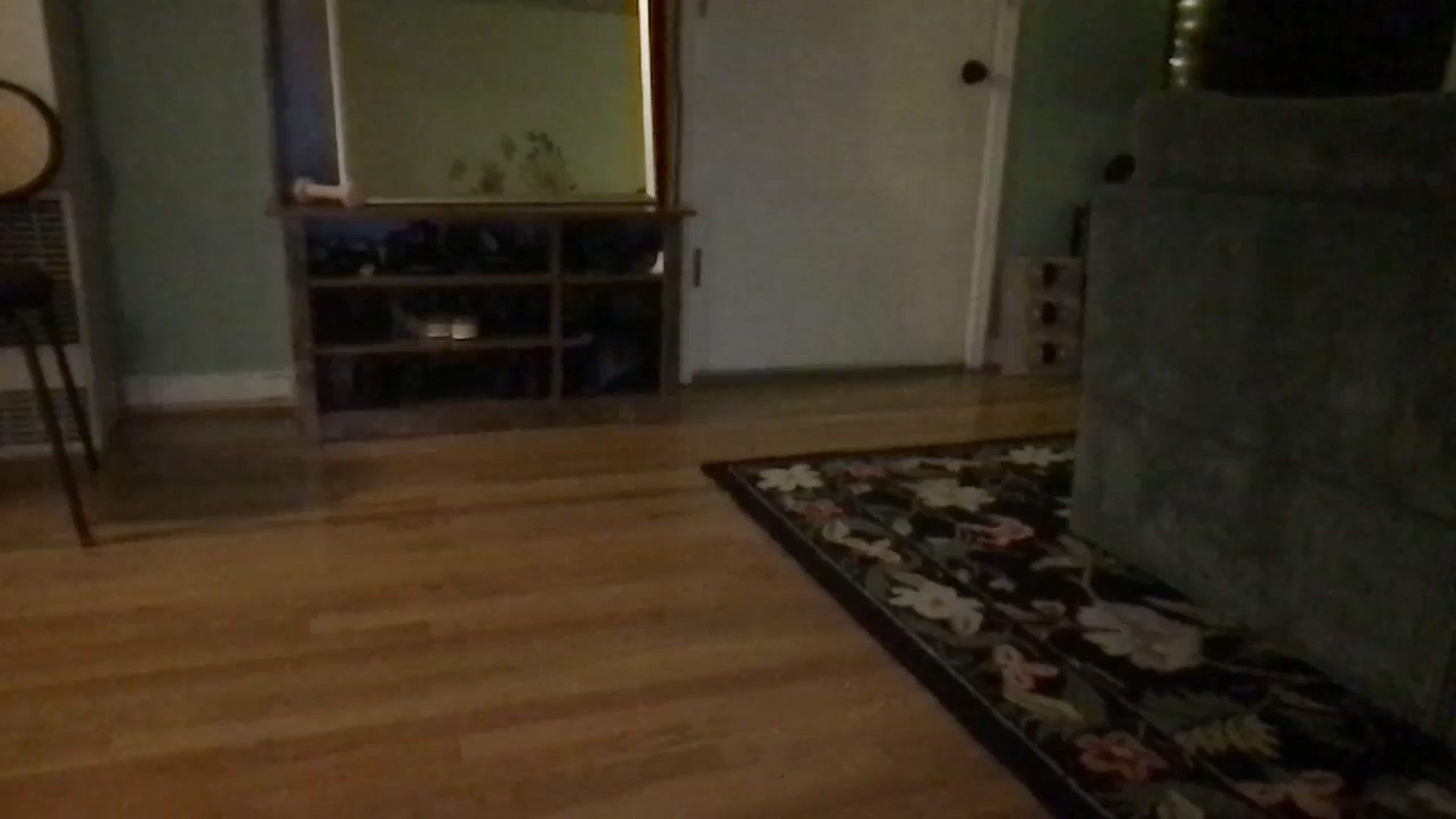 Gallery image thumbnail from Wheres_Willow's myfreecams stream on, 05/20/2024, 05:14 image 19 of 20