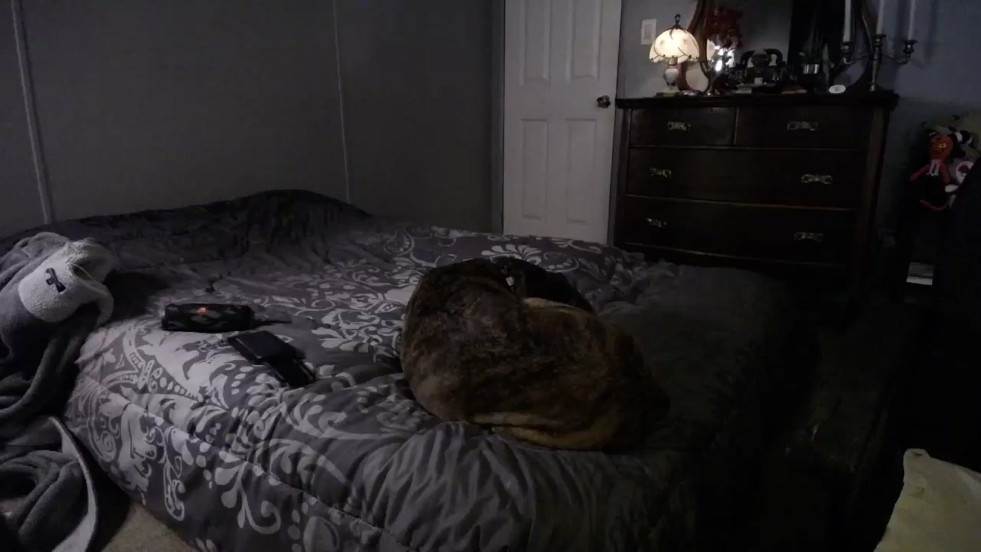 Gallery image thumbnail from Whiskey_Daisy's myfreecams stream on, 03/27/2024, 23:41 image 16 of 20