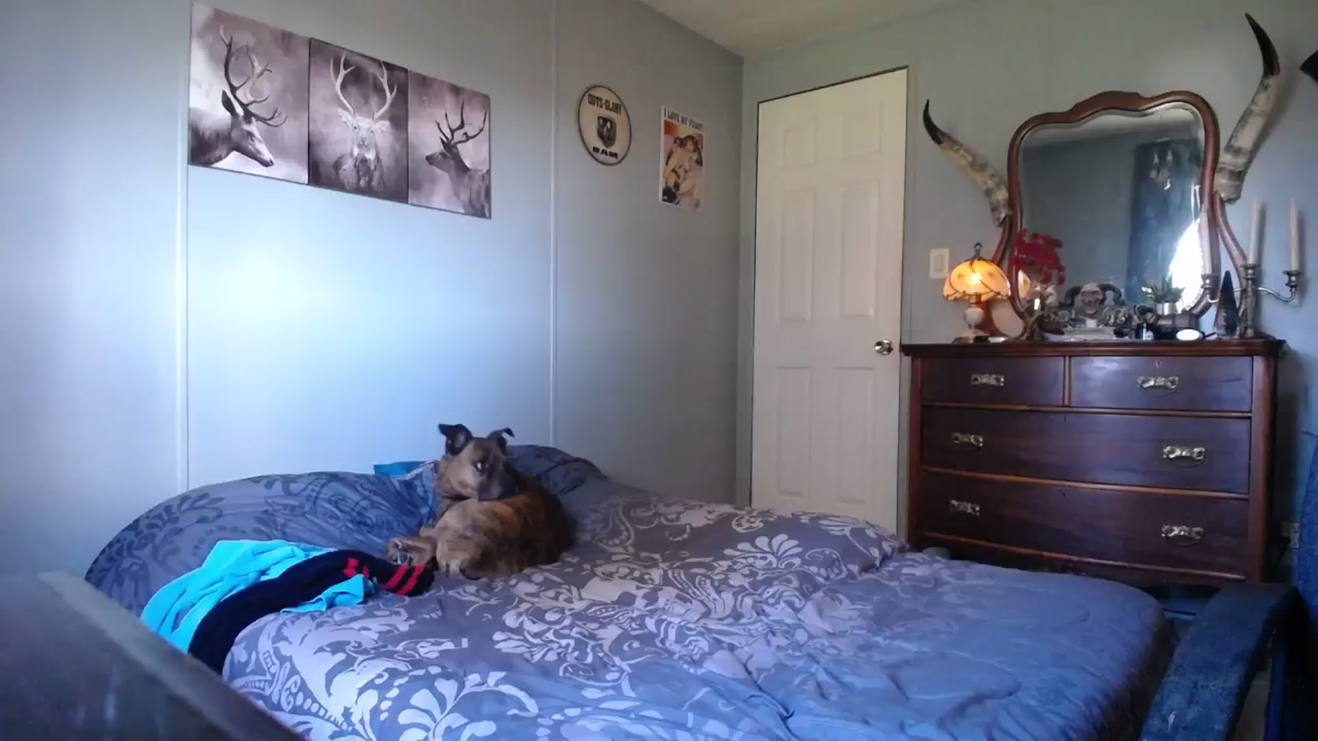 Gallery image thumbnail from Whiskey_Daisy's myfreecams stream on, 03/29/2024, 23:53 image 10 of 20