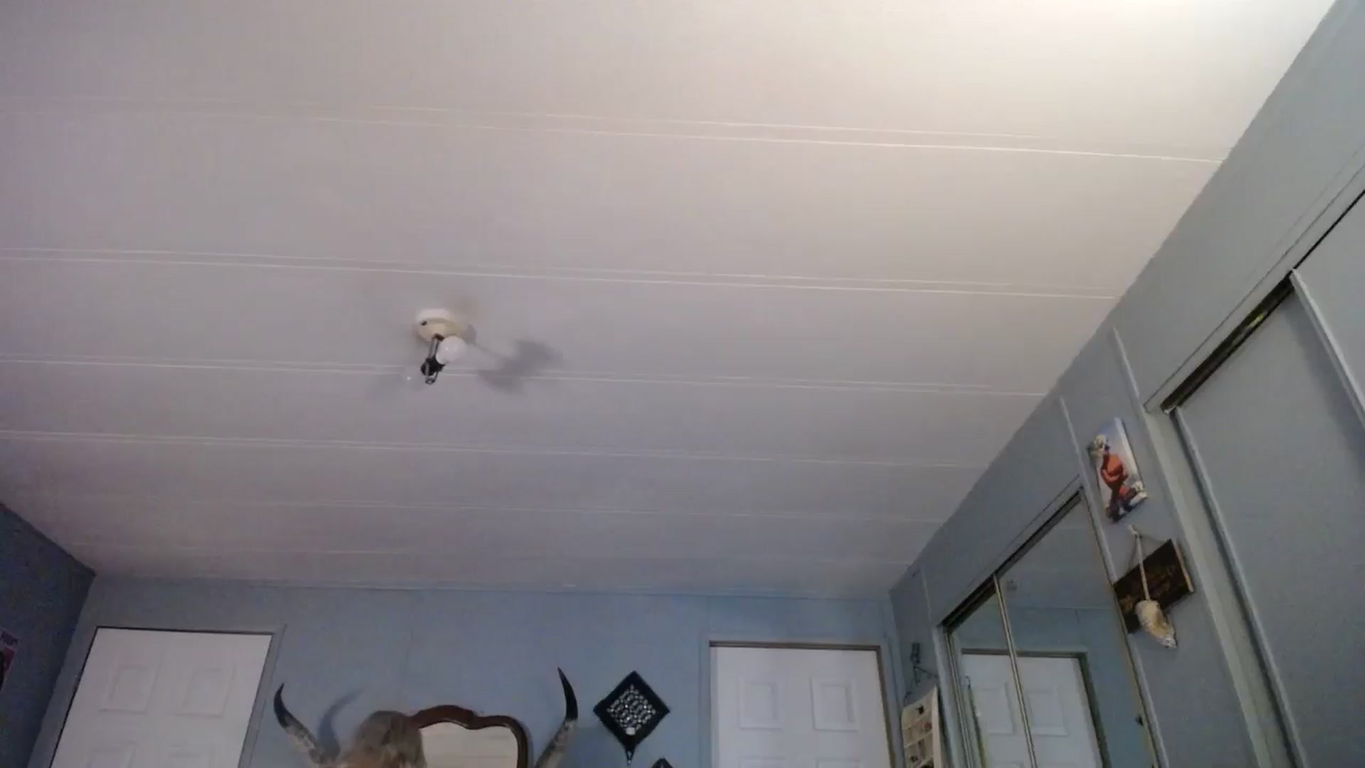 Gallery image thumbnail from Whiskey_Daisy's myfreecams stream on, 05/16/2024, 22:58 image 14 of 20