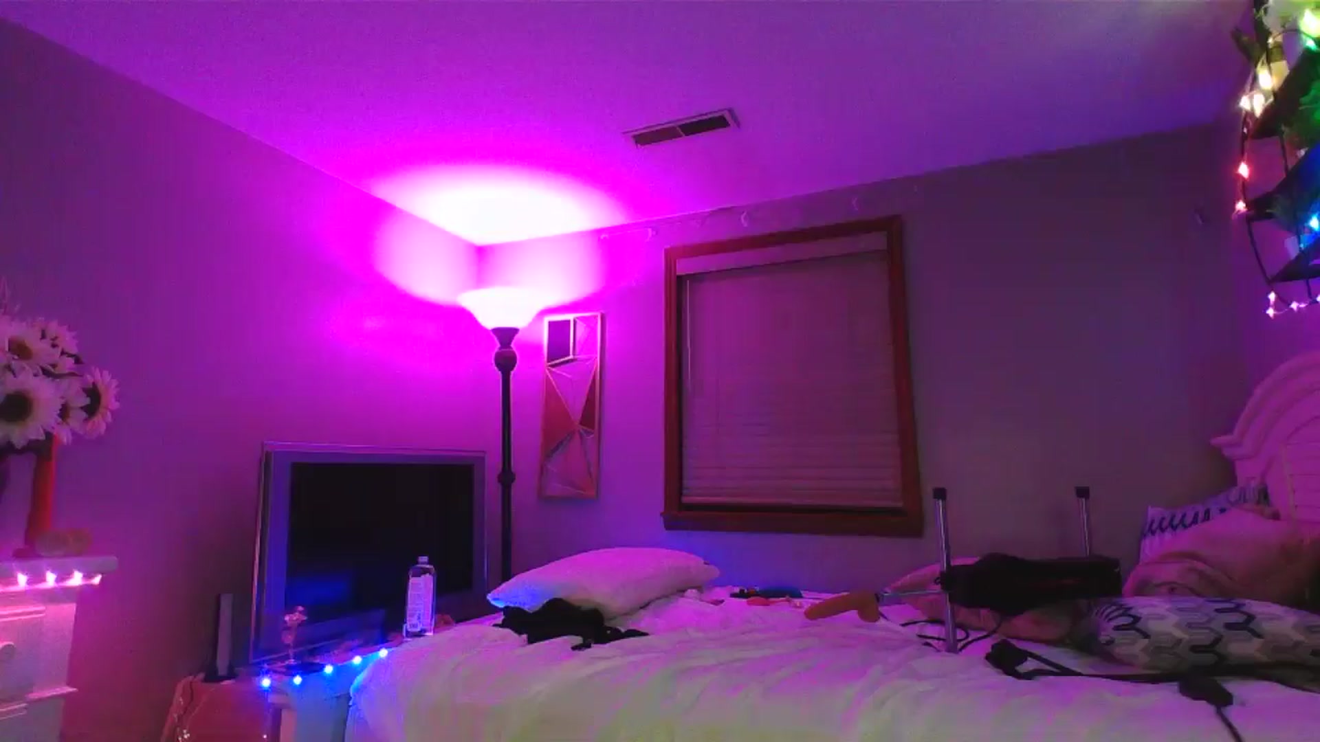 Gallery image thumbnail from WhisperGirl21's myfreecams stream on, 09/17/2024, 04:41 image 17 of 20