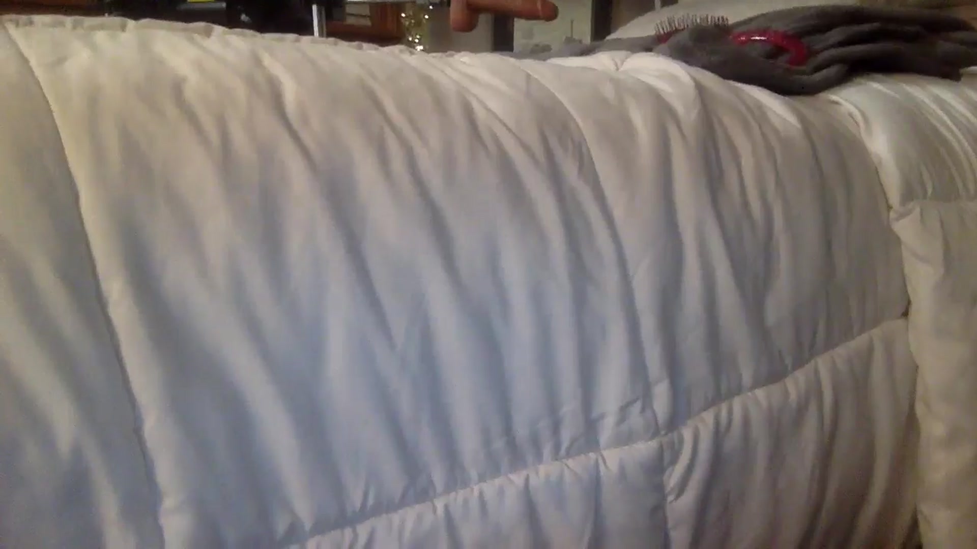Gallery image thumbnail from WhisperGirl21's myfreecams stream on, 12/08/2024, 03:01 image 2 of 20