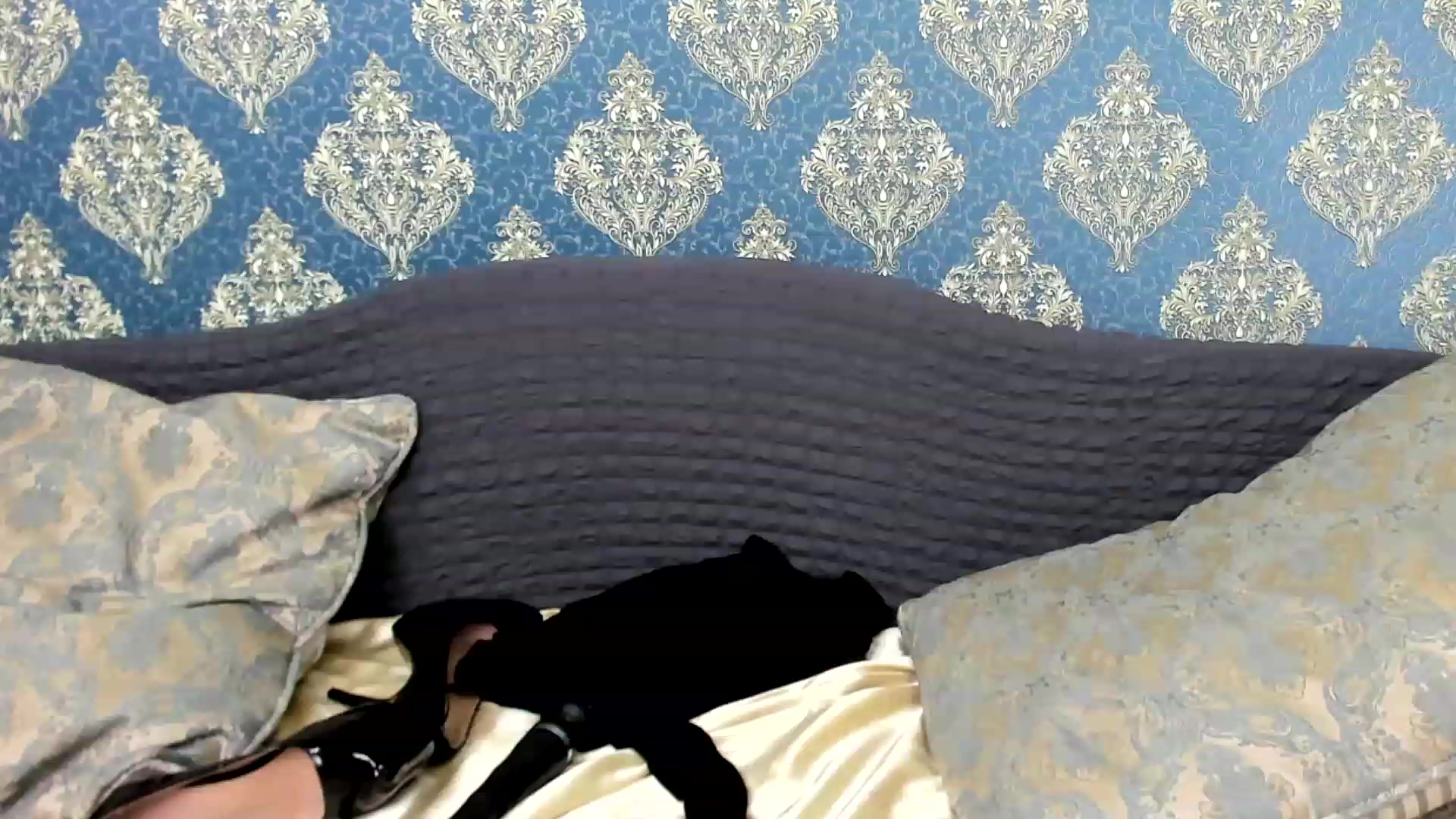 Gallery image thumbnail from White_Pie's myfreecams stream on, 11/14/2022, 12:23 image 18 of 20