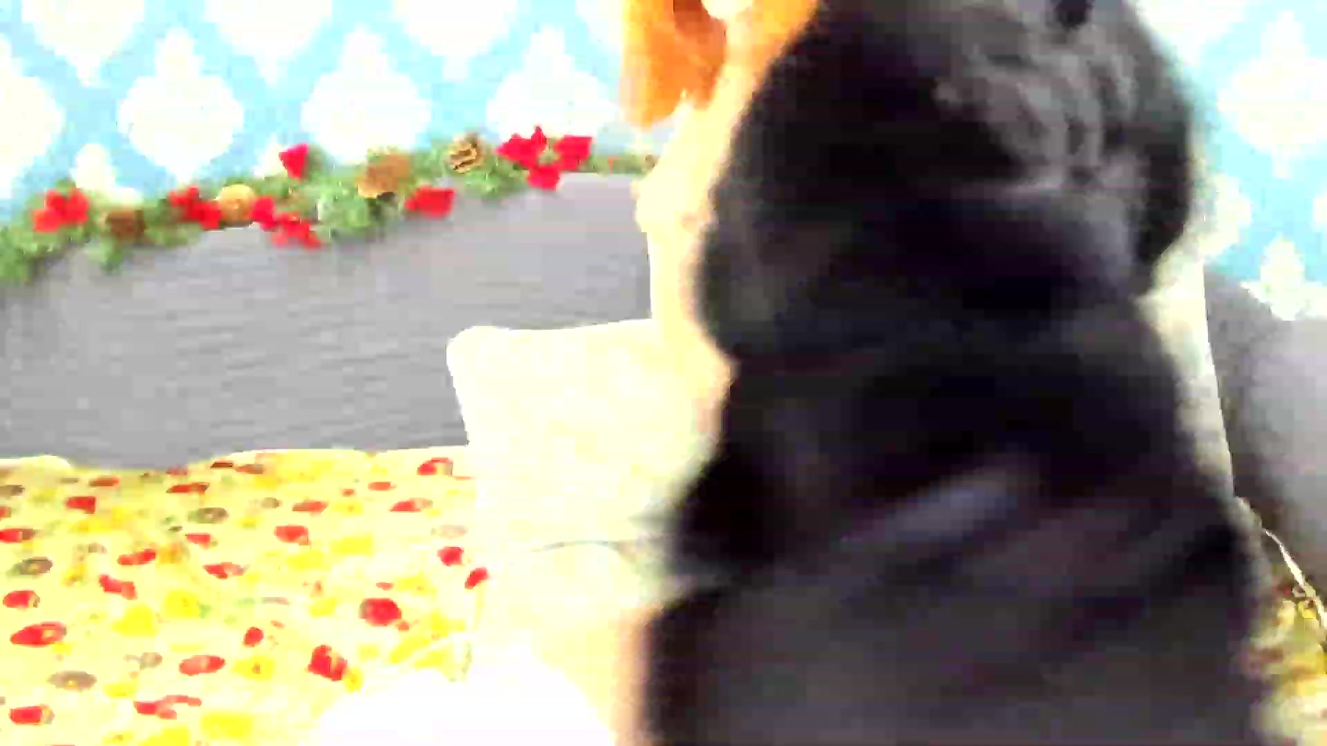 Gallery image thumbnail from White_Pie's myfreecams stream on, 01/12/2023, 10:05 image 11 of 20
