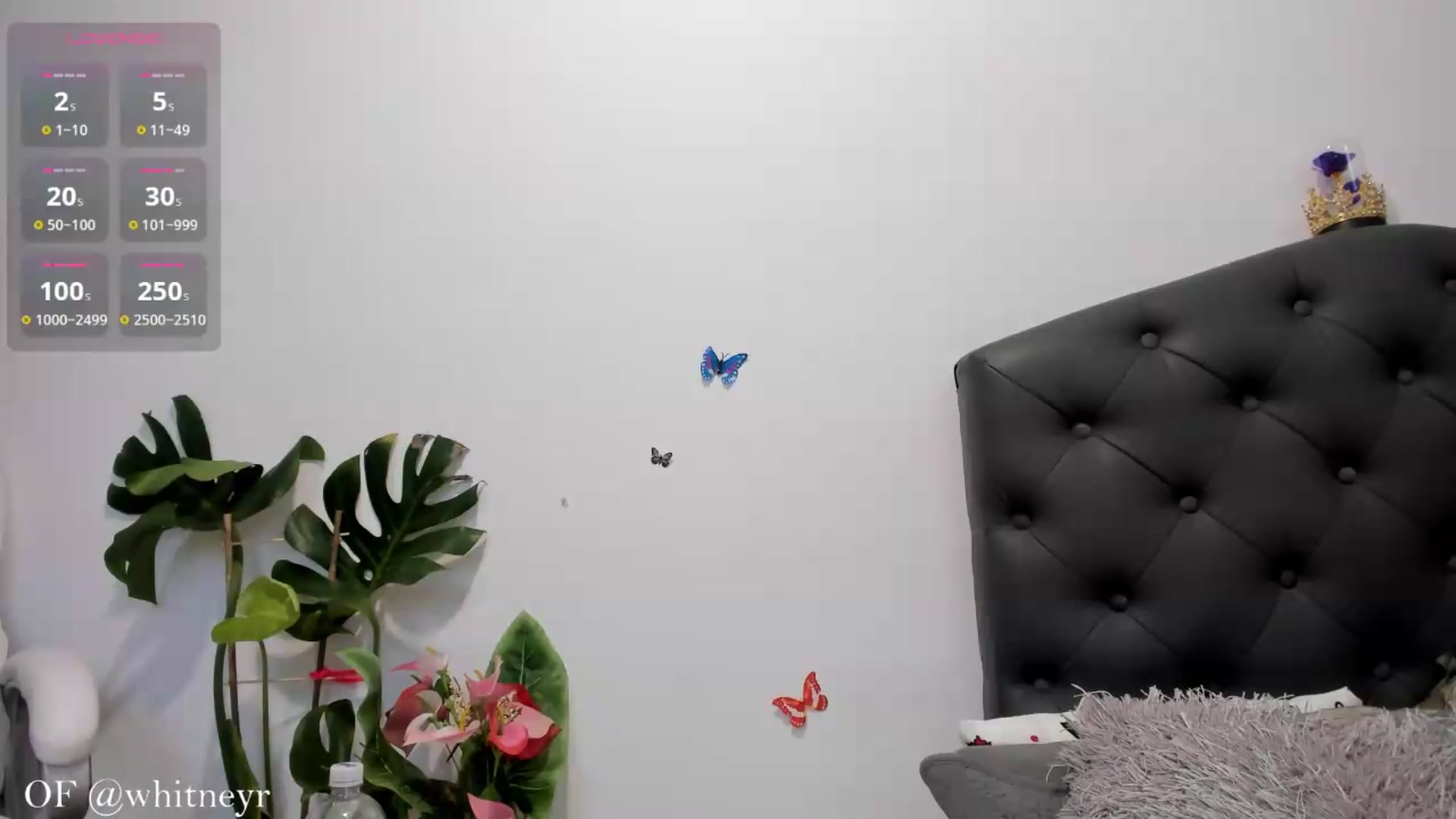 Gallery image thumbnail from WhitneyR's myfreecams stream on, 07/07/2026, 13:20 image 15 of 20