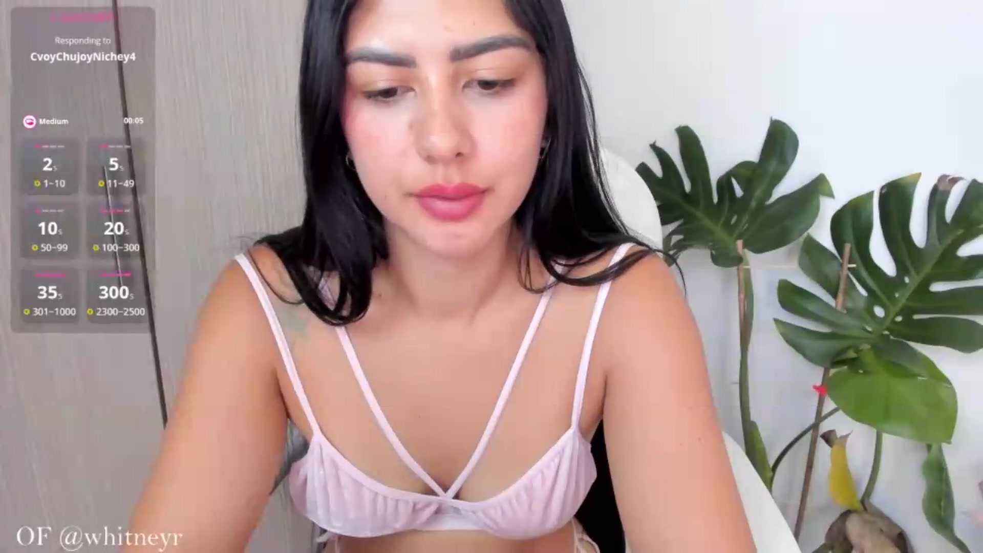 Gallery image thumbnail from WhitneyR's myfreecams stream on, 08/13/2026, 13:44 image 12 of 20