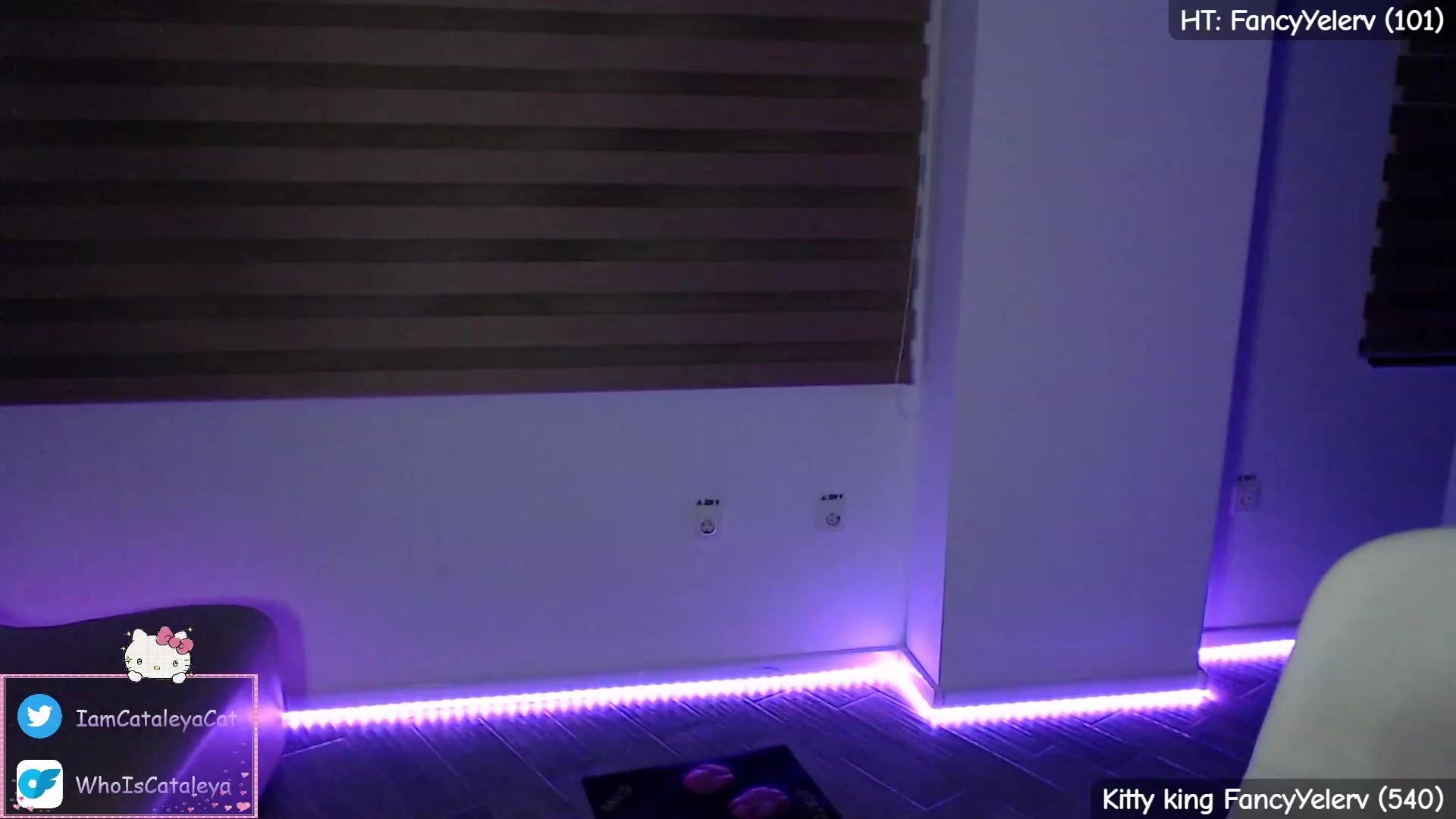 Gallery image thumbnail from WhoisCataleya's myfreecams stream on, 04/07/2023, 22:49 image 10 of 20