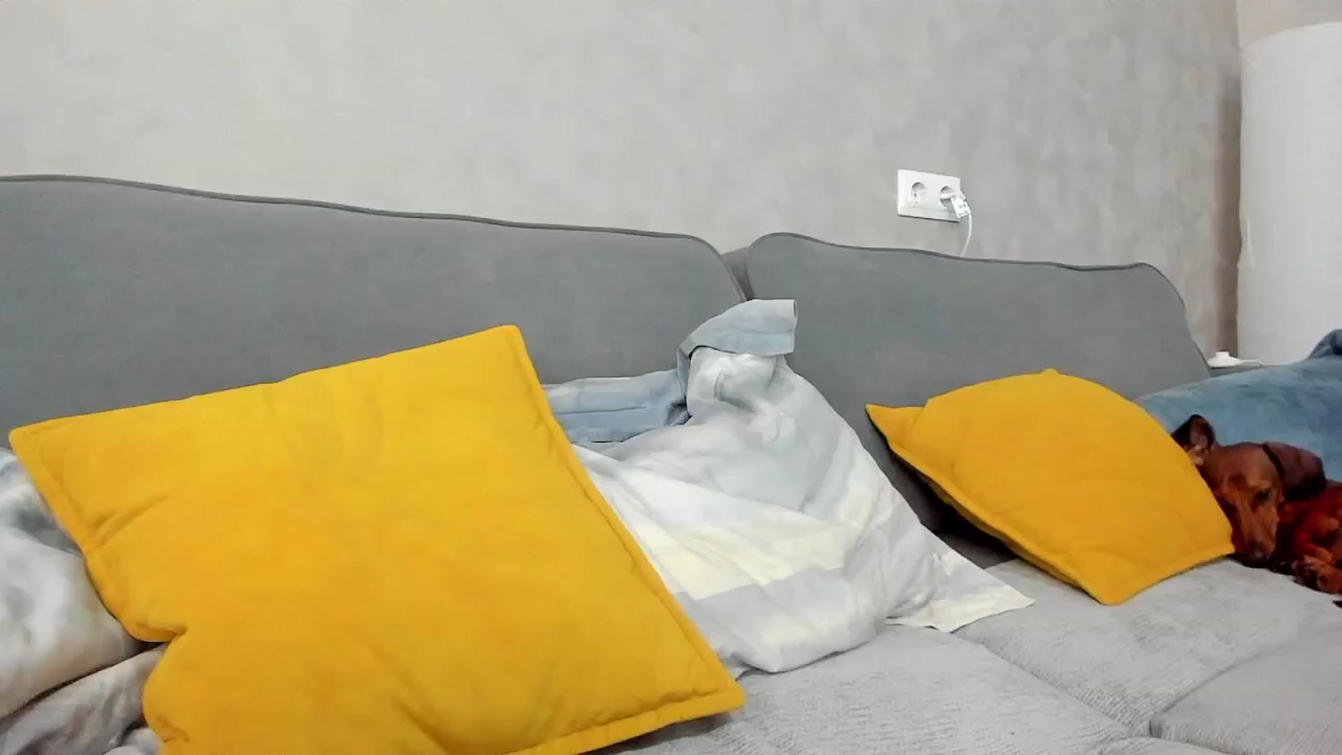 Gallery image thumbnail from WhyNotIfYes's myfreecams stream on, 05/22/2024, 07:42 image 10 of 20