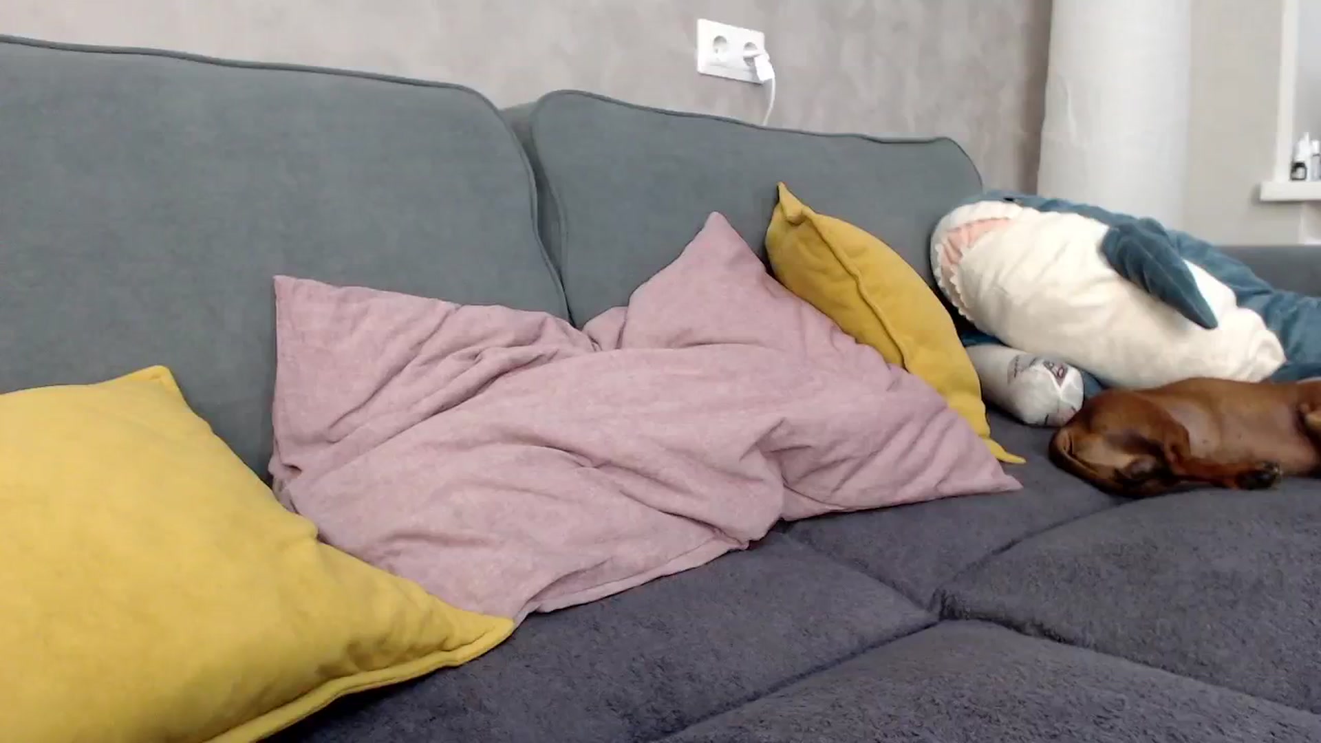 Gallery image thumbnail from WhyNotIfYes's myfreecams stream on, 05/29/2024, 06:57 image 20 of 20