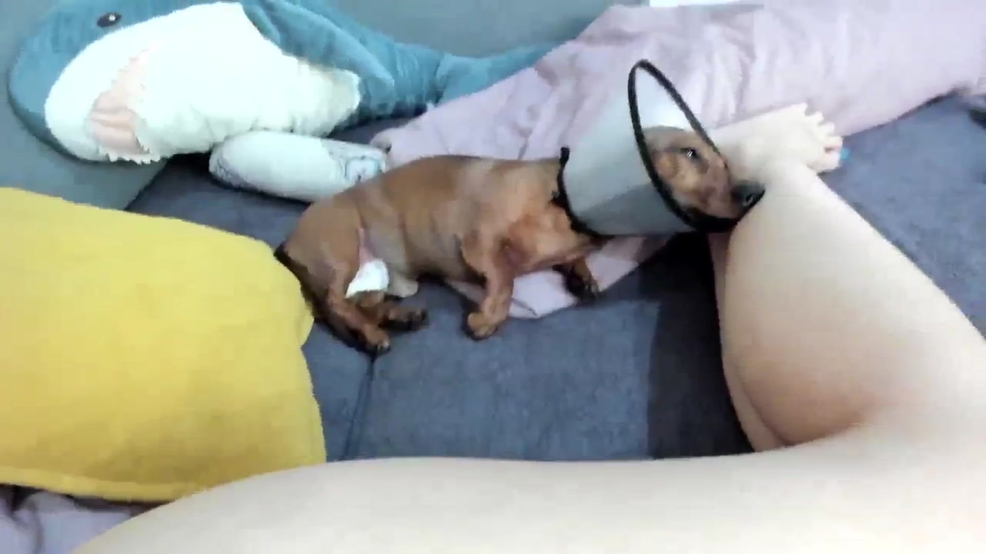 Gallery image thumbnail from WhyNotIfYes's myfreecams stream on, 06/05/2024, 08:24 image 12 of 20