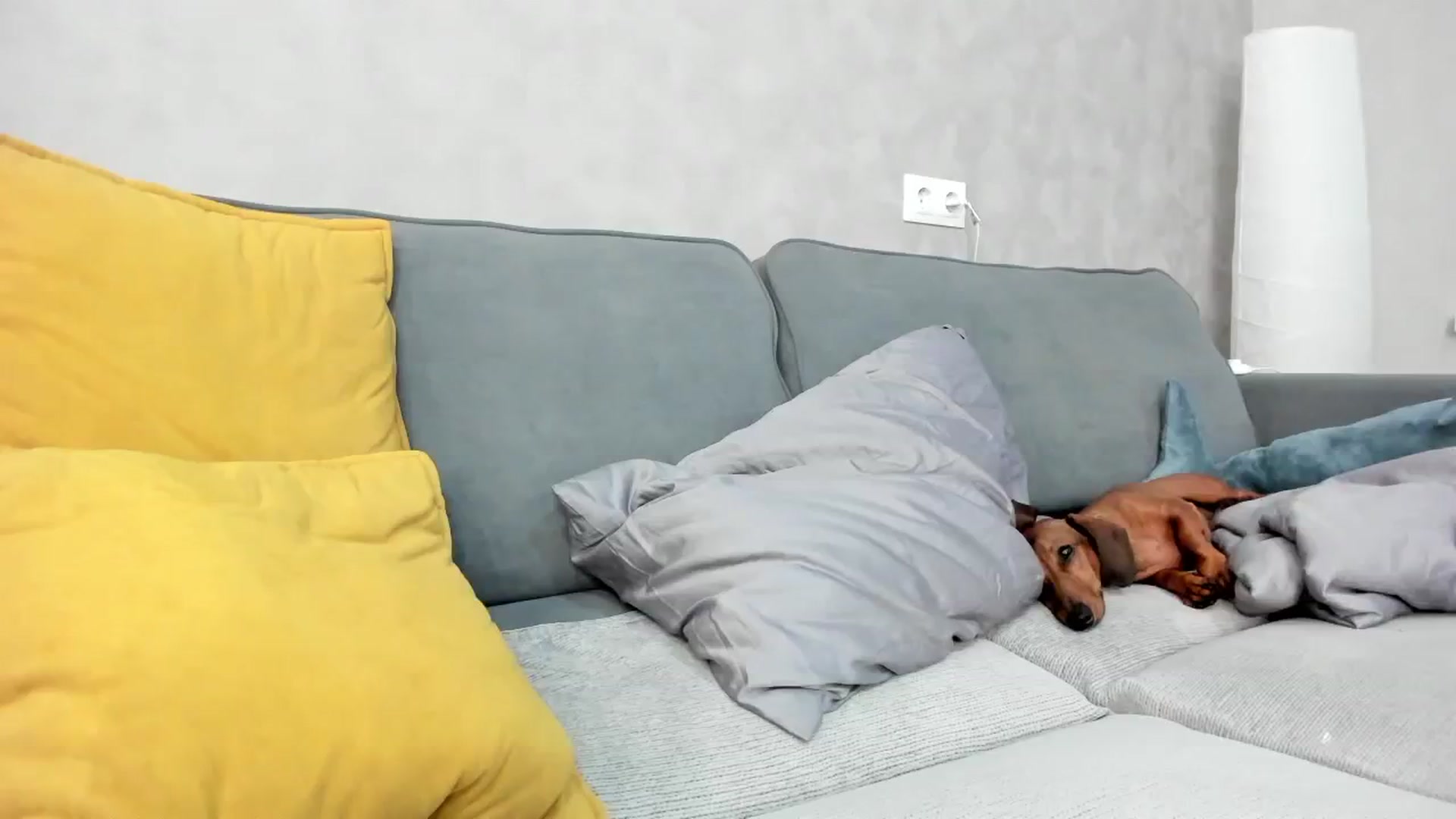 Gallery image thumbnail from WhyNotIfYes's myfreecams stream on, 06/30/2024, 08:51 image 15 of 20