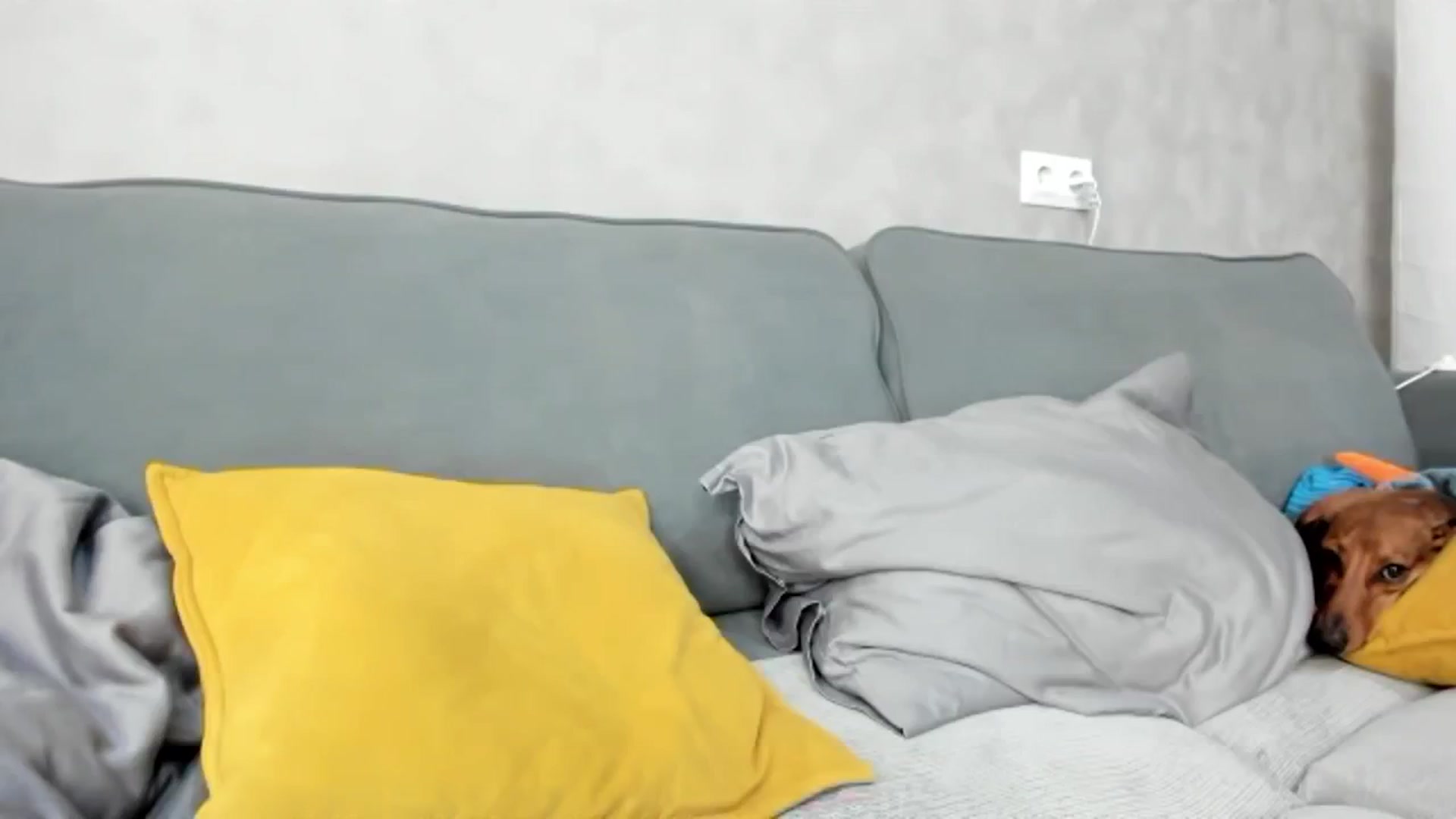 Gallery image thumbnail from WhyNotIfYes's myfreecams stream on, 07/19/2024, 17:06 image 11 of 20