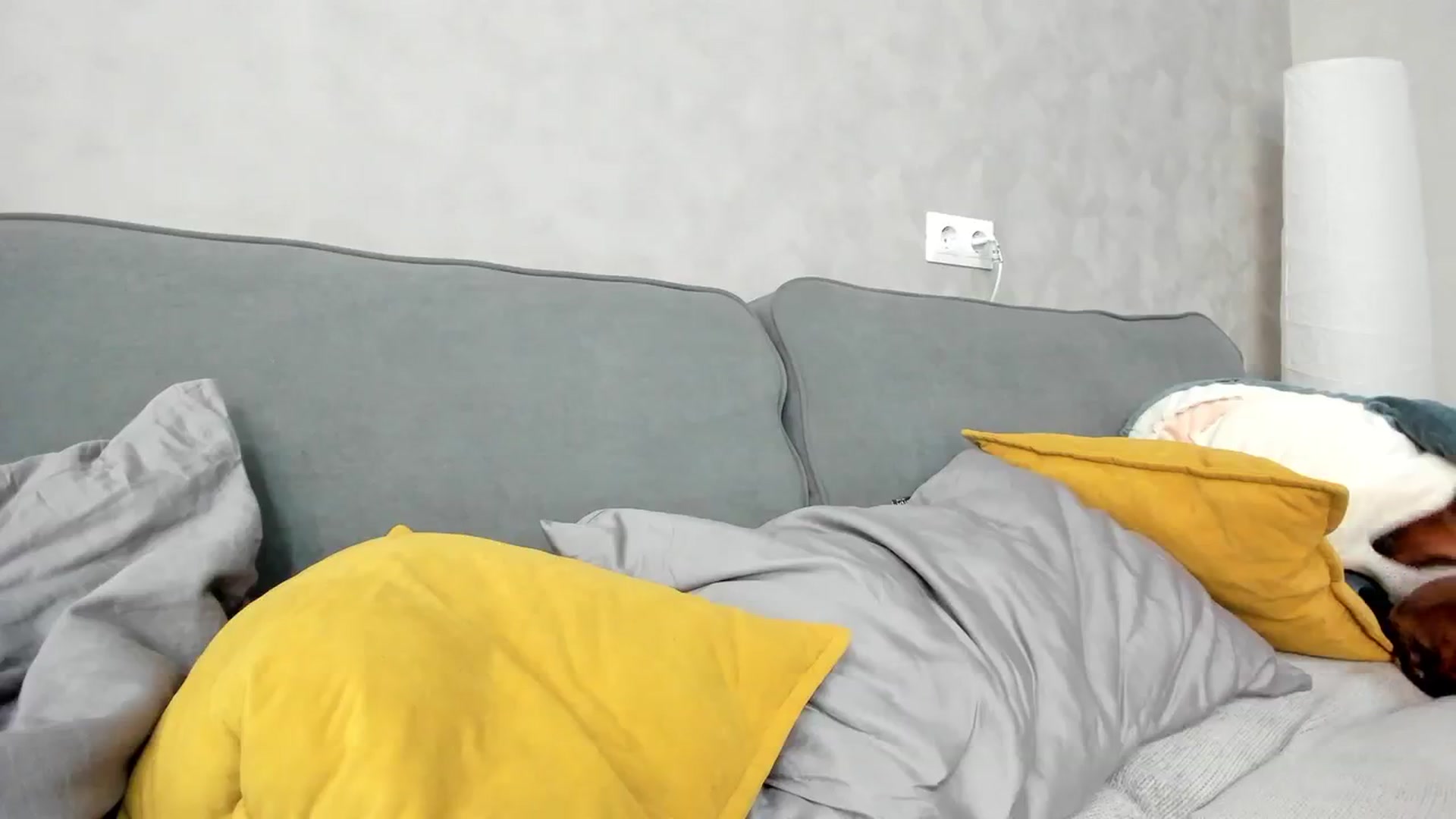 Gallery image thumbnail from WhyNotIfYes's myfreecams stream on, 07/26/2024, 07:11 image 7 of 20