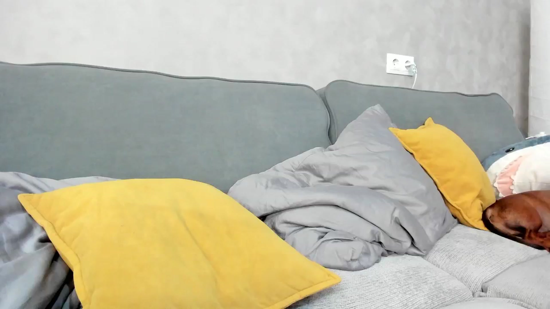 Gallery image thumbnail from WhyNotIfYes's myfreecams stream on, 07/27/2024, 08:04 image 20 of 20