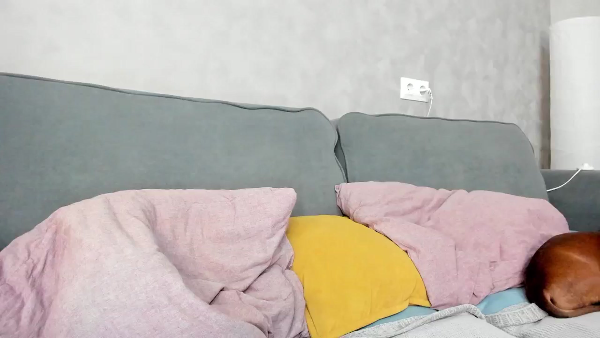 Gallery image thumbnail from WhyNotIfYes's myfreecams stream on, 06/01/2025, 09:03 image 20 of 20