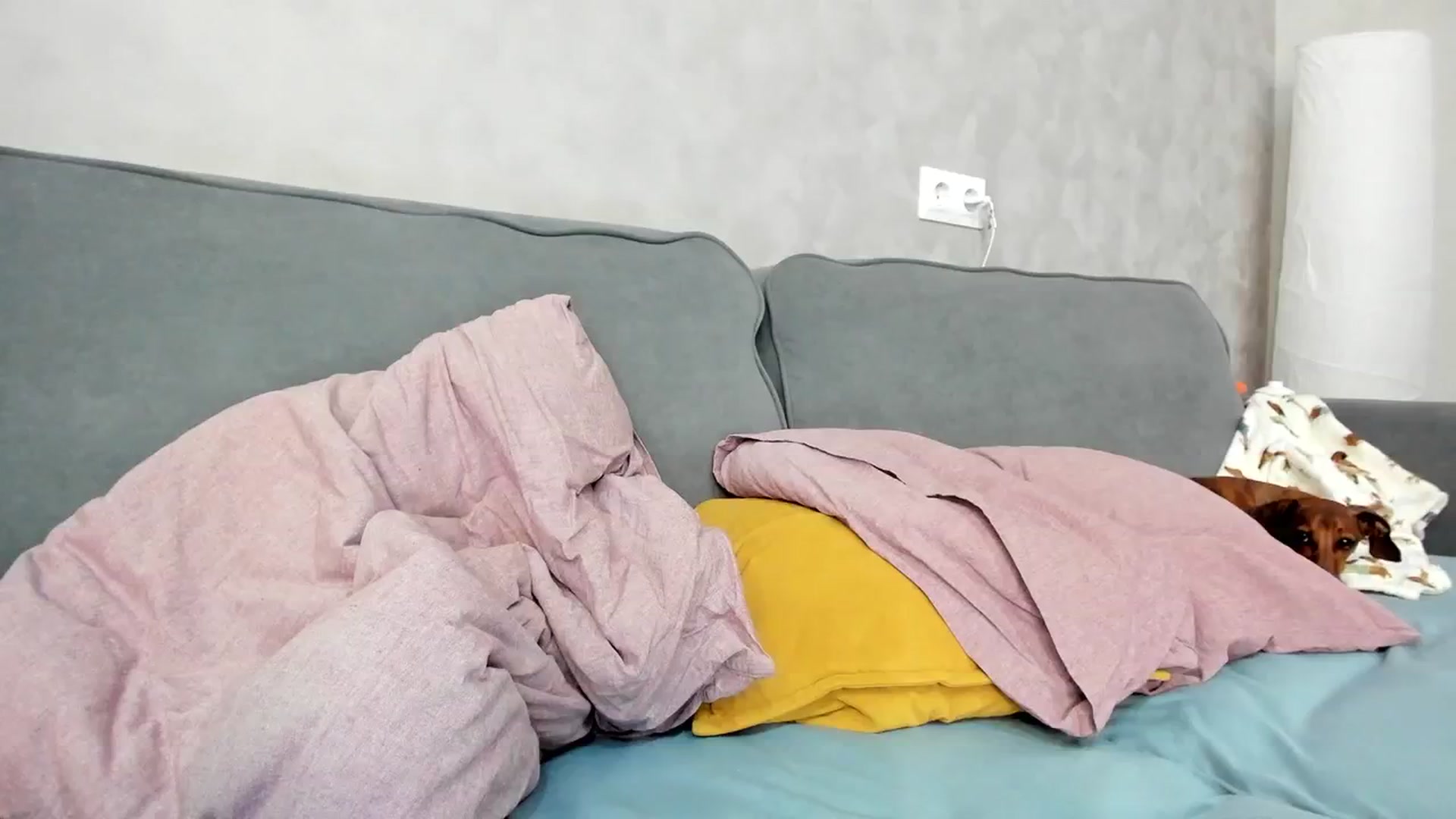 Gallery image thumbnail from WhyNotIfYes's myfreecams stream on, 07/19/2025, 10:27 image 3 of 20