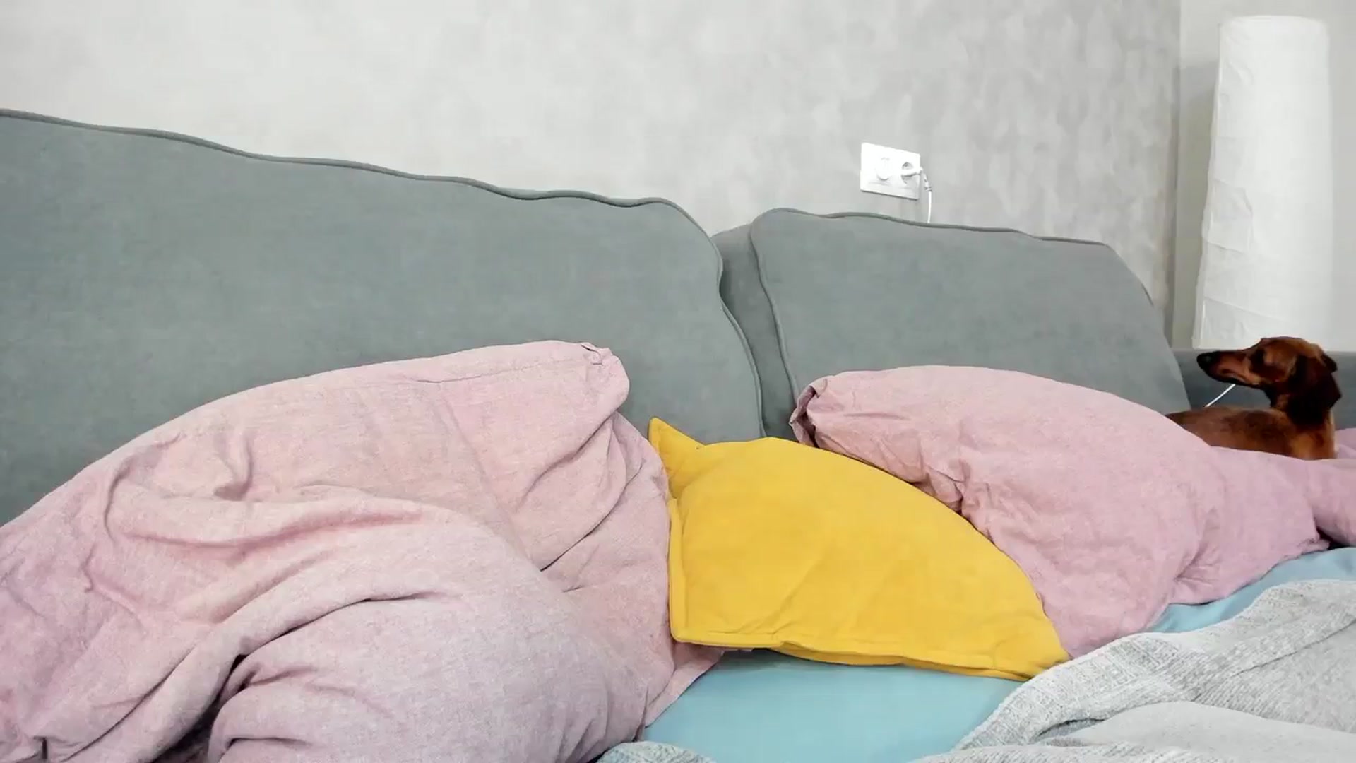 Gallery image thumbnail from WhyNotIfYes's myfreecams stream on, 08/02/2025, 12:38 image 10 of 20