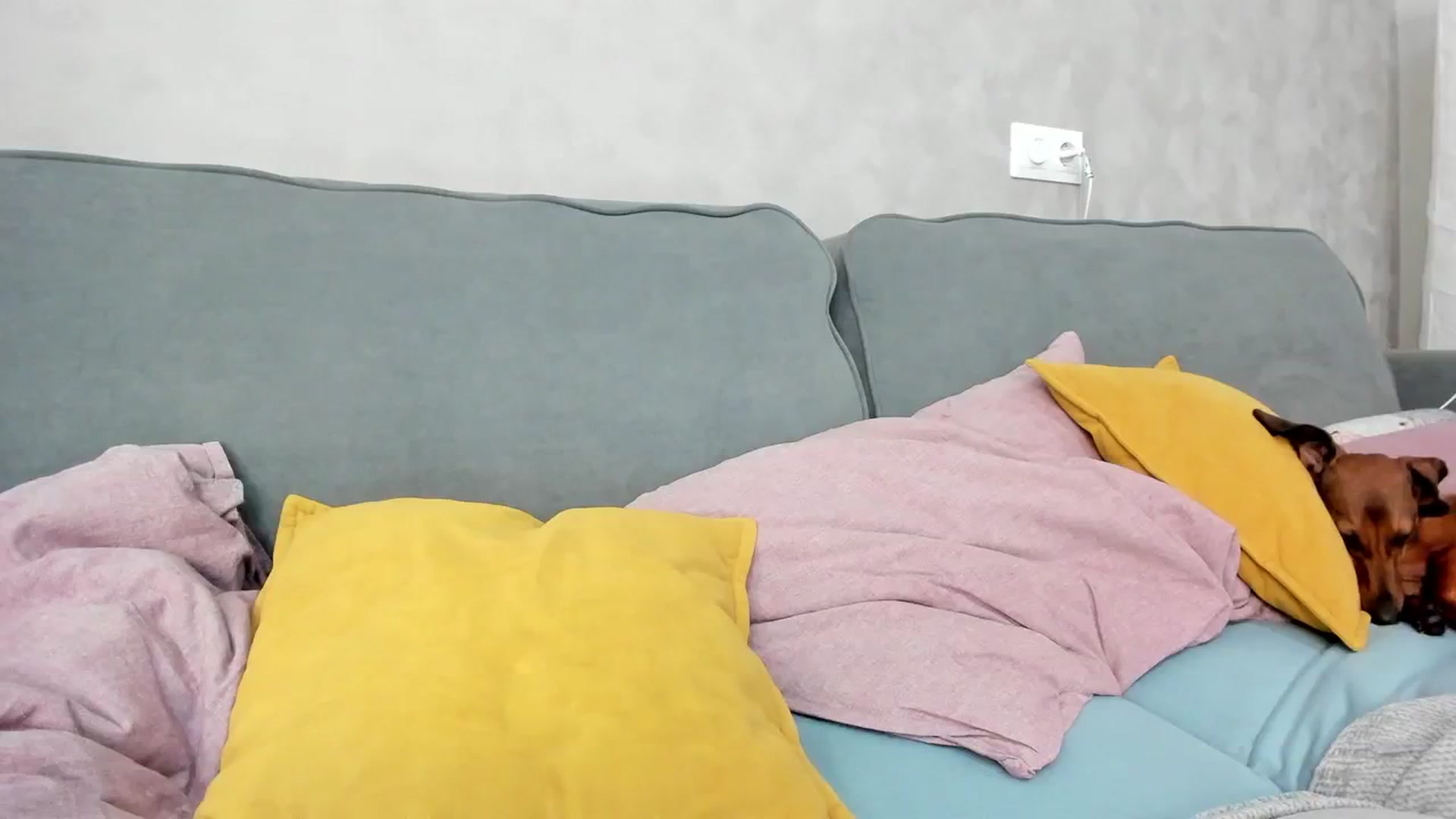 Gallery image thumbnail from WhyNotIfYes's myfreecams stream on, 08/03/2025, 10:10 image 14 of 20