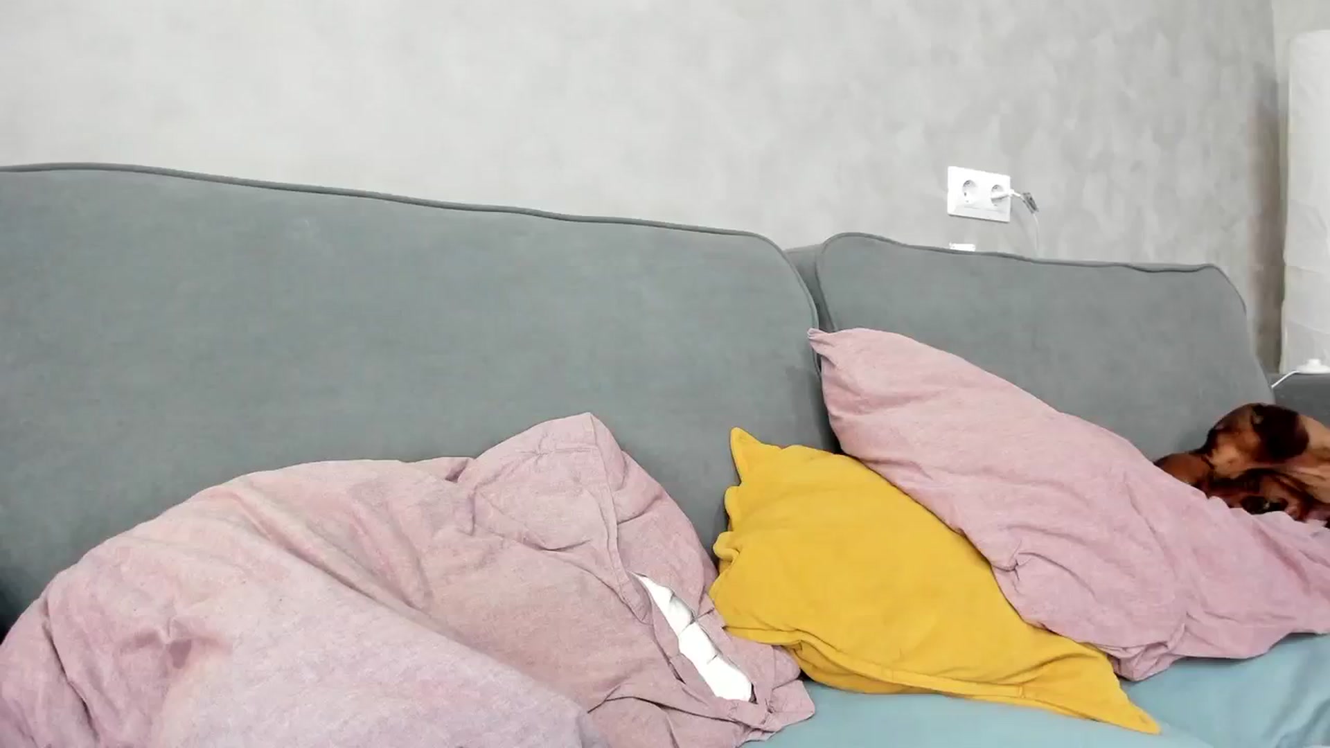 Gallery image thumbnail from WhyNotIfYes's myfreecams stream on, 08/16/2025, 08:11 image 15 of 20