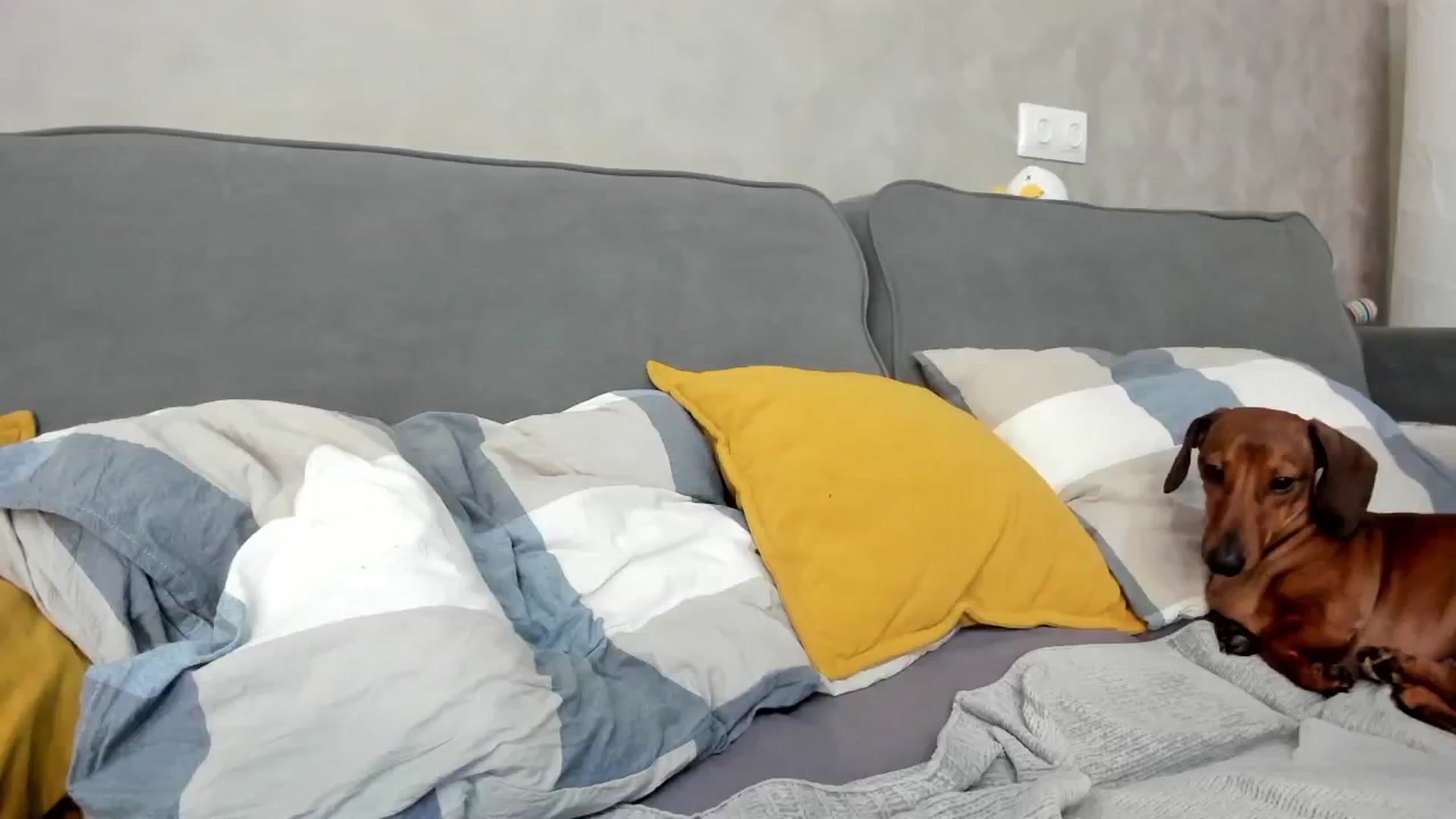 Gallery image thumbnail from WhyNotIfYes's myfreecams stream on, 11/23/2025, 09:22 image 4 of 20