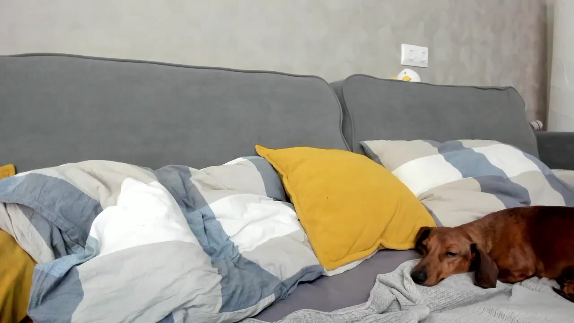 Gallery image thumbnail from WhyNotIfYes's myfreecams stream on, 11/23/2025, 09:22 image 5 of 20