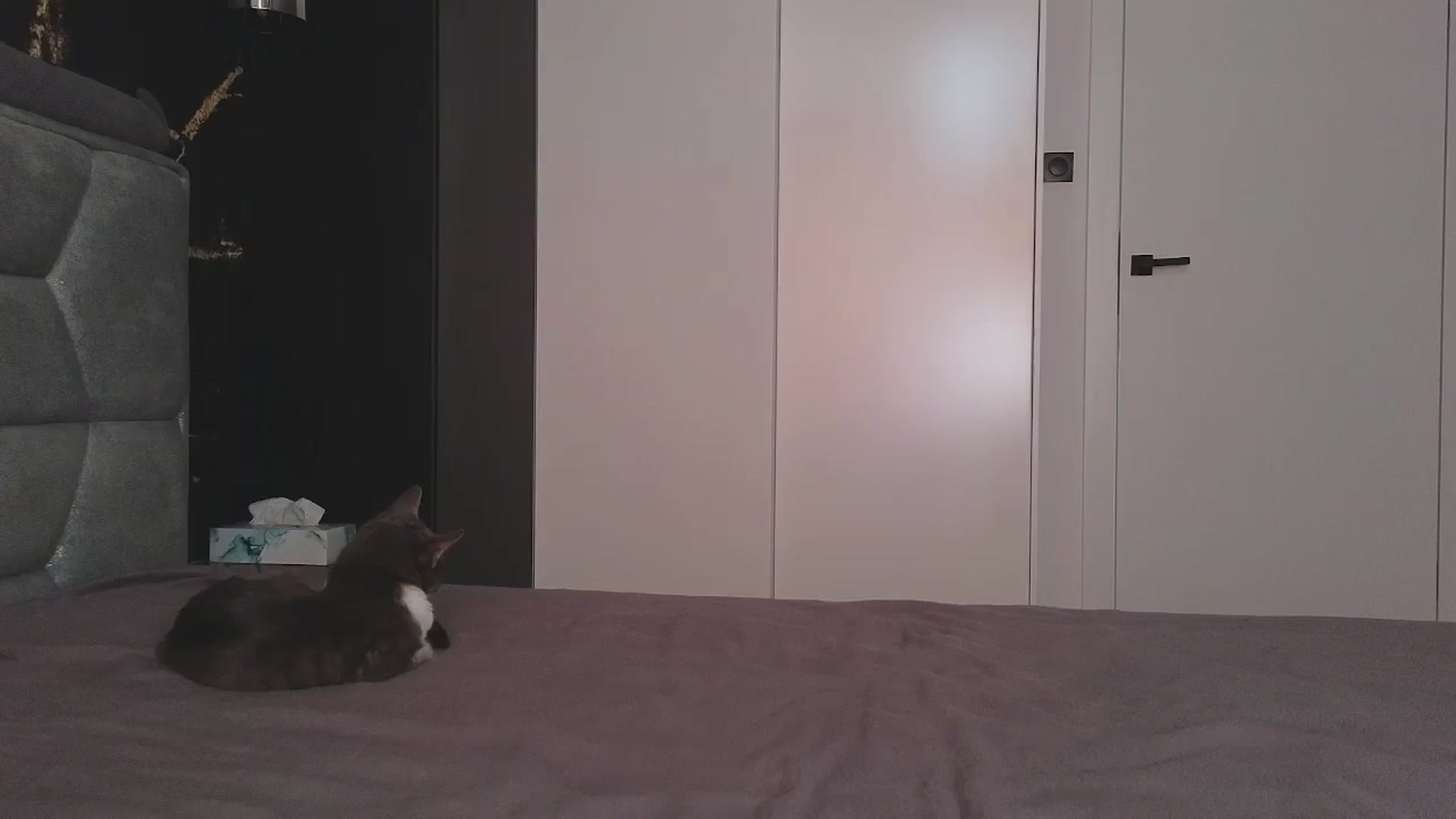 Gallery image thumbnail from Whynot___'s myfreecams stream on, 09/18/2024, 08:28 image 20 of 20