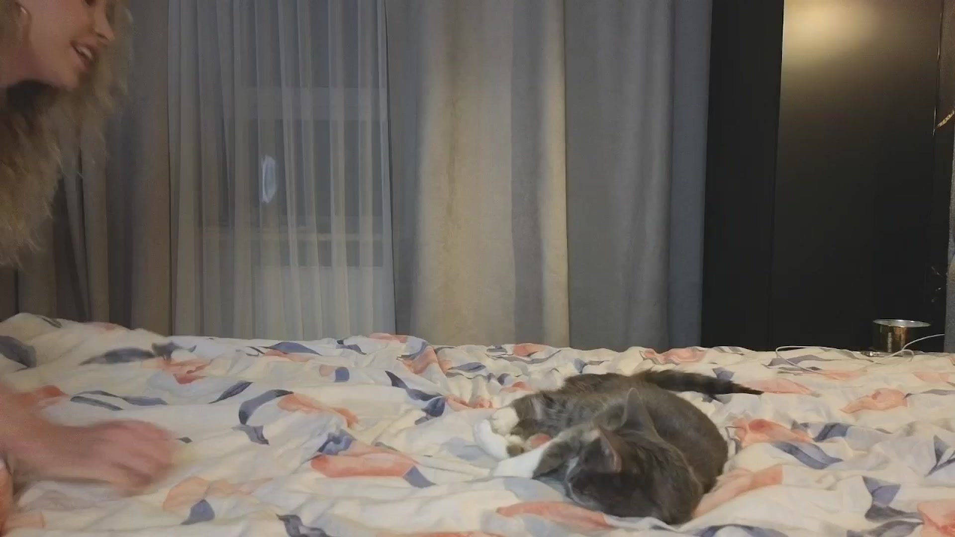 Gallery image thumbnail from Whynot___'s myfreecams stream on, 10/19/2024, 24:36 image 3 of 20