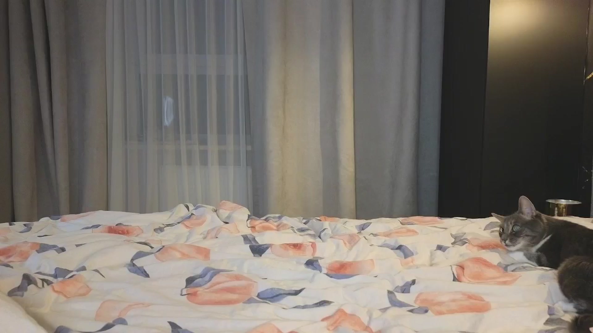 Gallery image thumbnail from Whynot___'s myfreecams stream on, 10/19/2024, 24:36 image 1 of 20