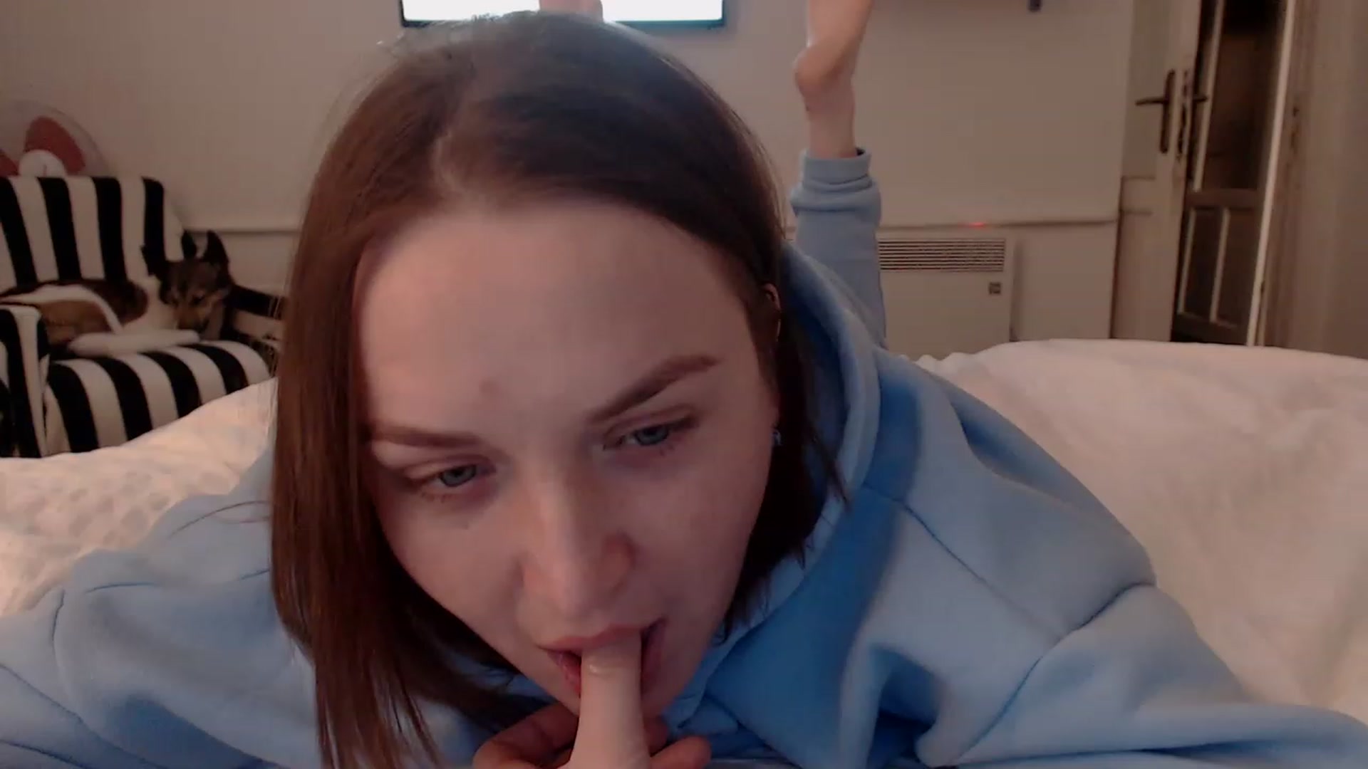 Gallery image thumbnail from WildButt's myfreecams stream on, 12/05/2022, 22:33 image 16 of 20