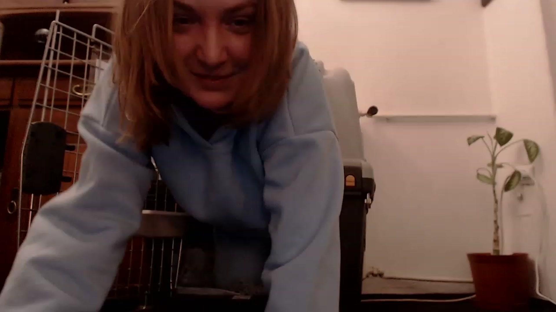 Gallery image thumbnail from WildButt's myfreecams stream on, 12/05/2022, 23:21 image 1 of 20
