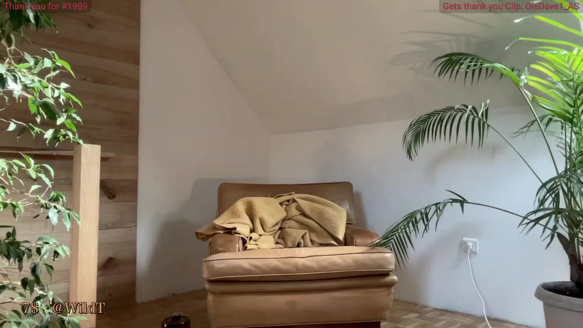 Gallery image thumbnail from WildThyme's myfreecams stream on, 10/20/2023, 14:02 image 18 of 20