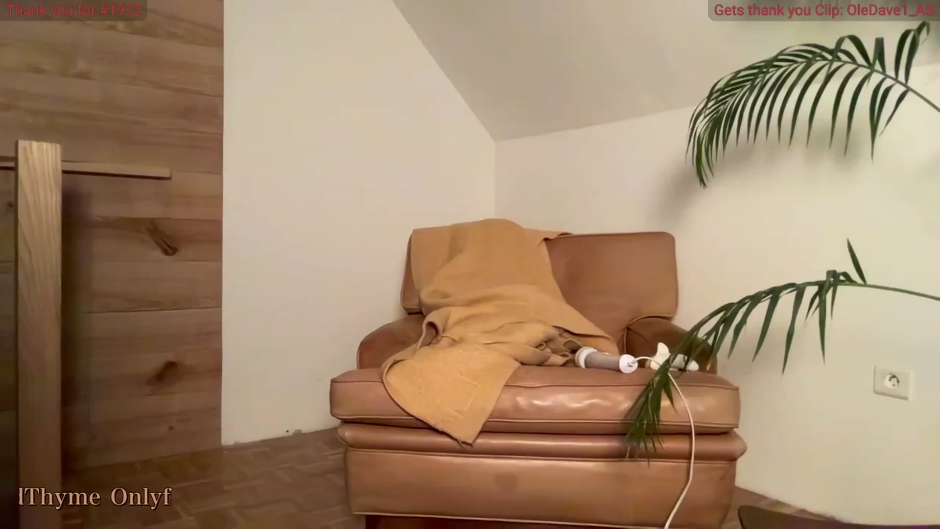 Gallery image thumbnail from WildThyme's myfreecams stream on, 11/16/2023, 17:37 image 11 of 20