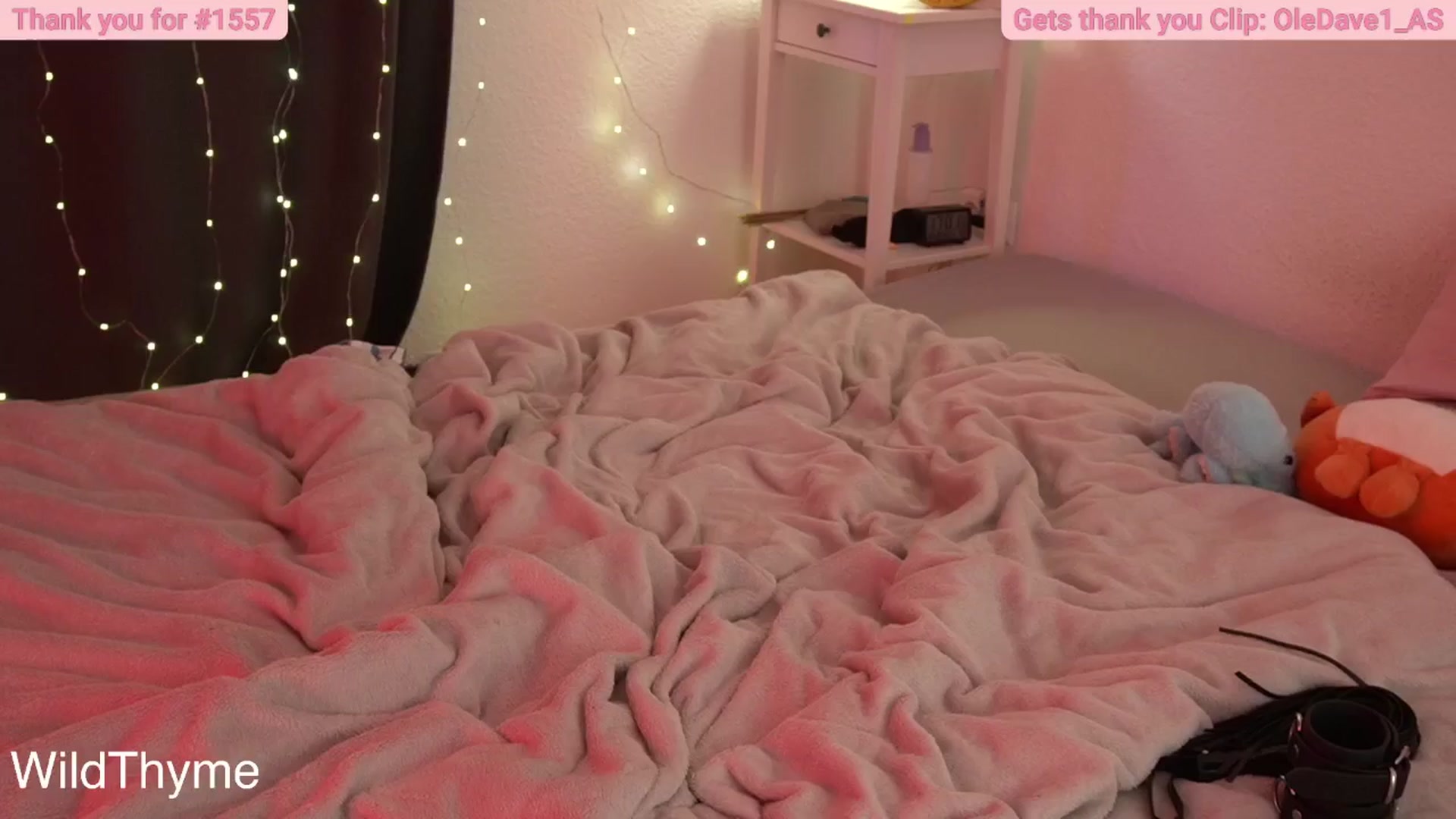 Gallery image thumbnail from WildThyme's myfreecams stream on, 10/24/2024, 15:18 image 18 of 20