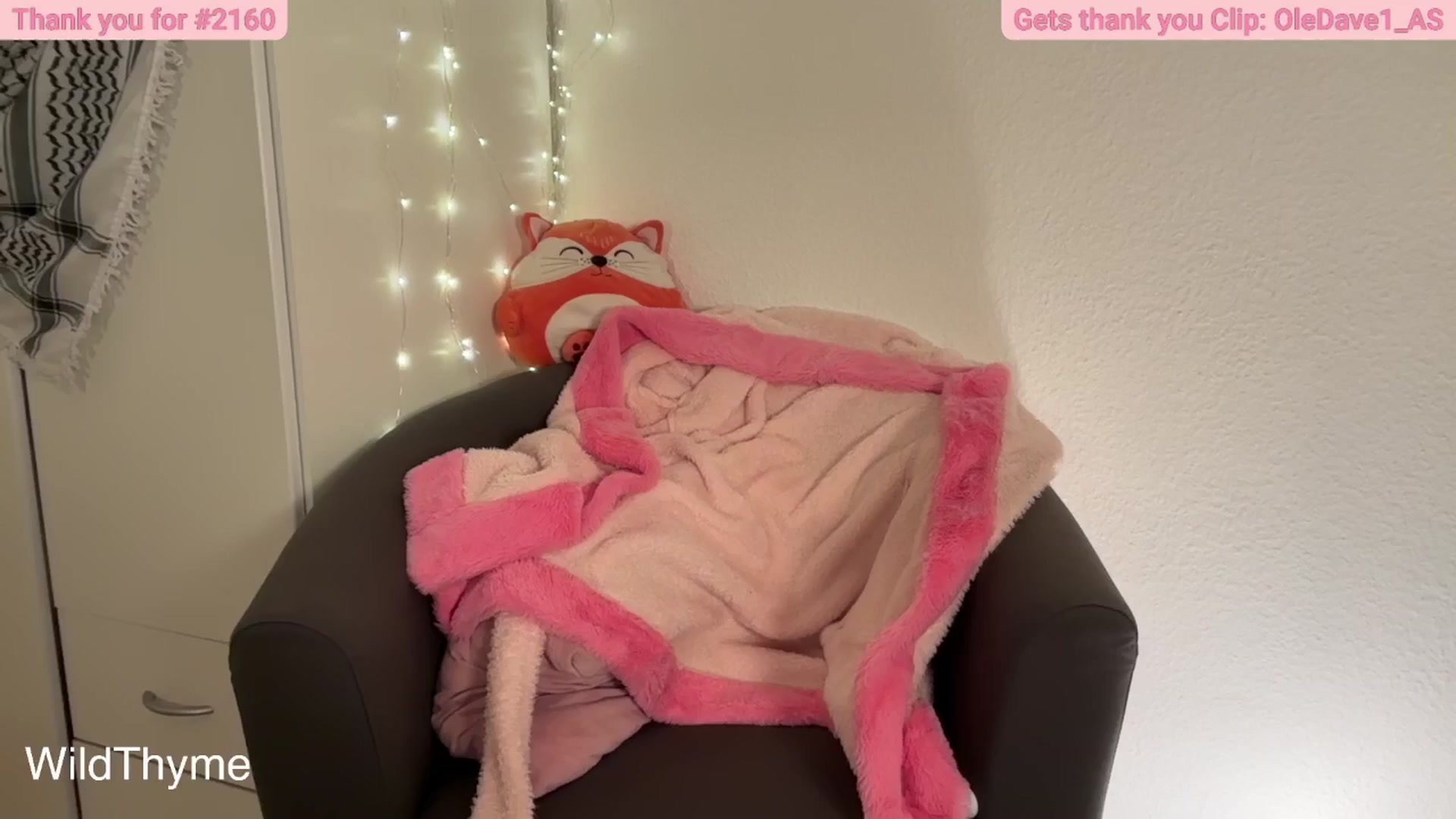 Gallery image thumbnail from WildThyme's myfreecams stream on, 09/30/2025, 18:16 image 14 of 20