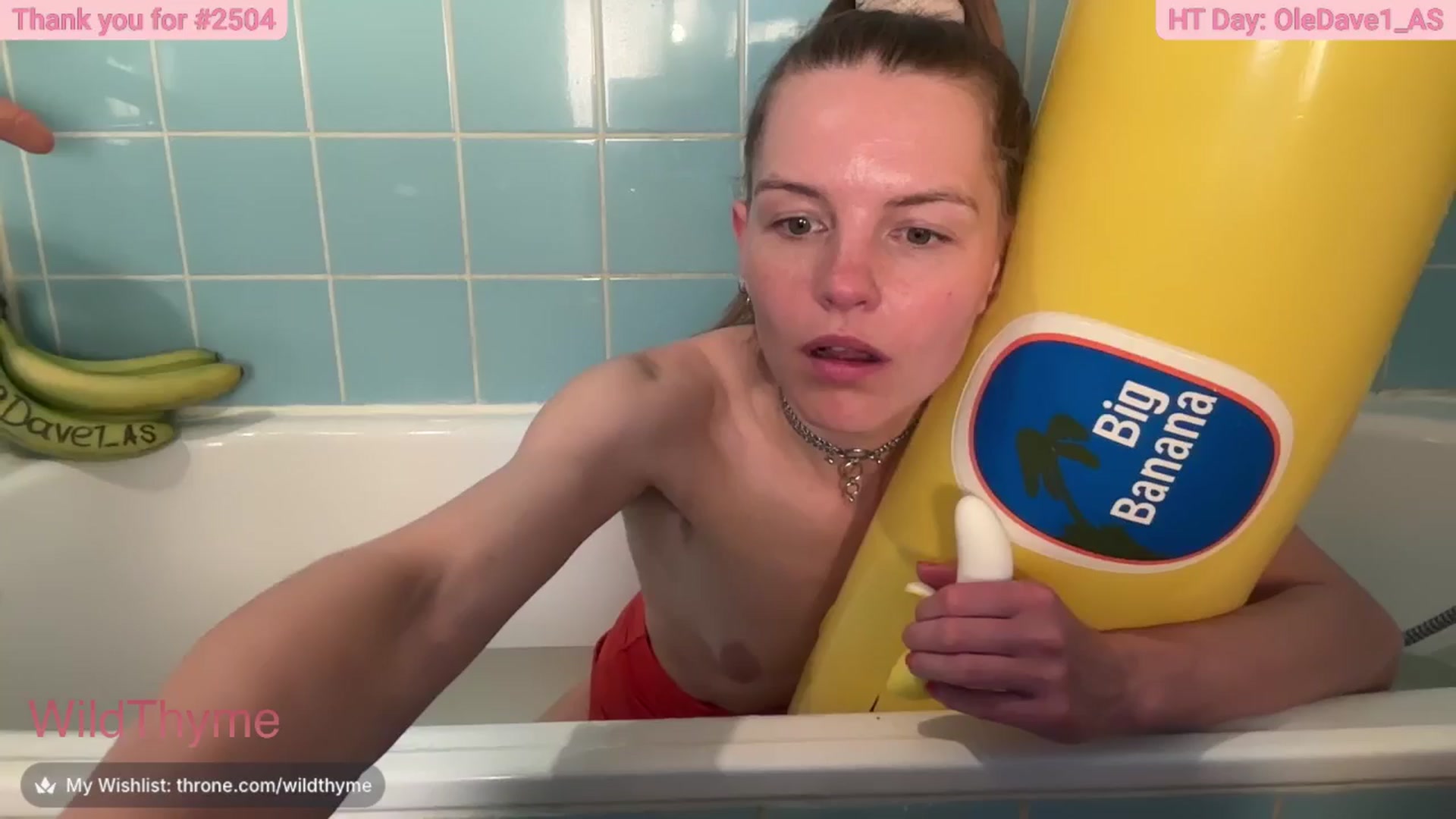 Gallery image thumbnail from WildThyme's myfreecams stream on, 04/28/2026, 20:13 image 17 of 20